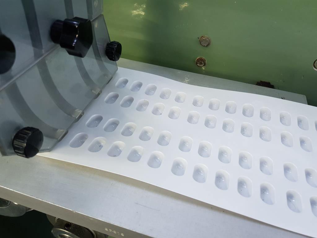 BLISTERATRICE AUTOMATICA – FAMAR MOD. AP (BLIS-13) in vendita - foto 2
