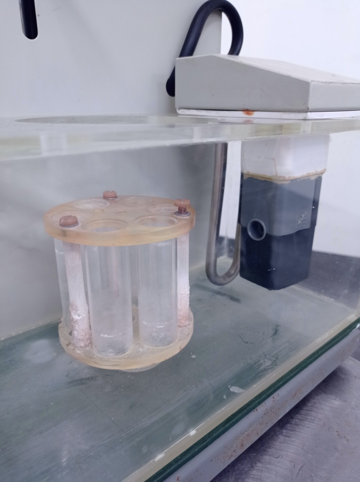 TESTER DISSOLUTORE – VANGUARD (COD. LAB-COMP-40) in vendita - foto 5