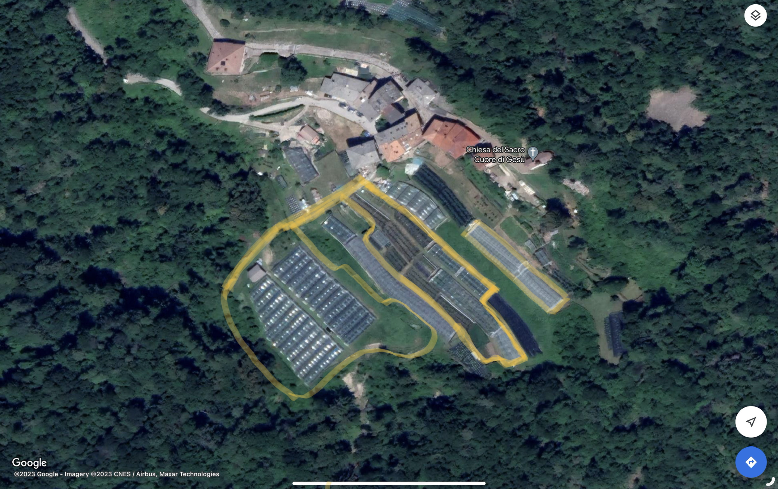 Azienda Agricola piccoli frutti (mirtilli) in vendita - foto 4