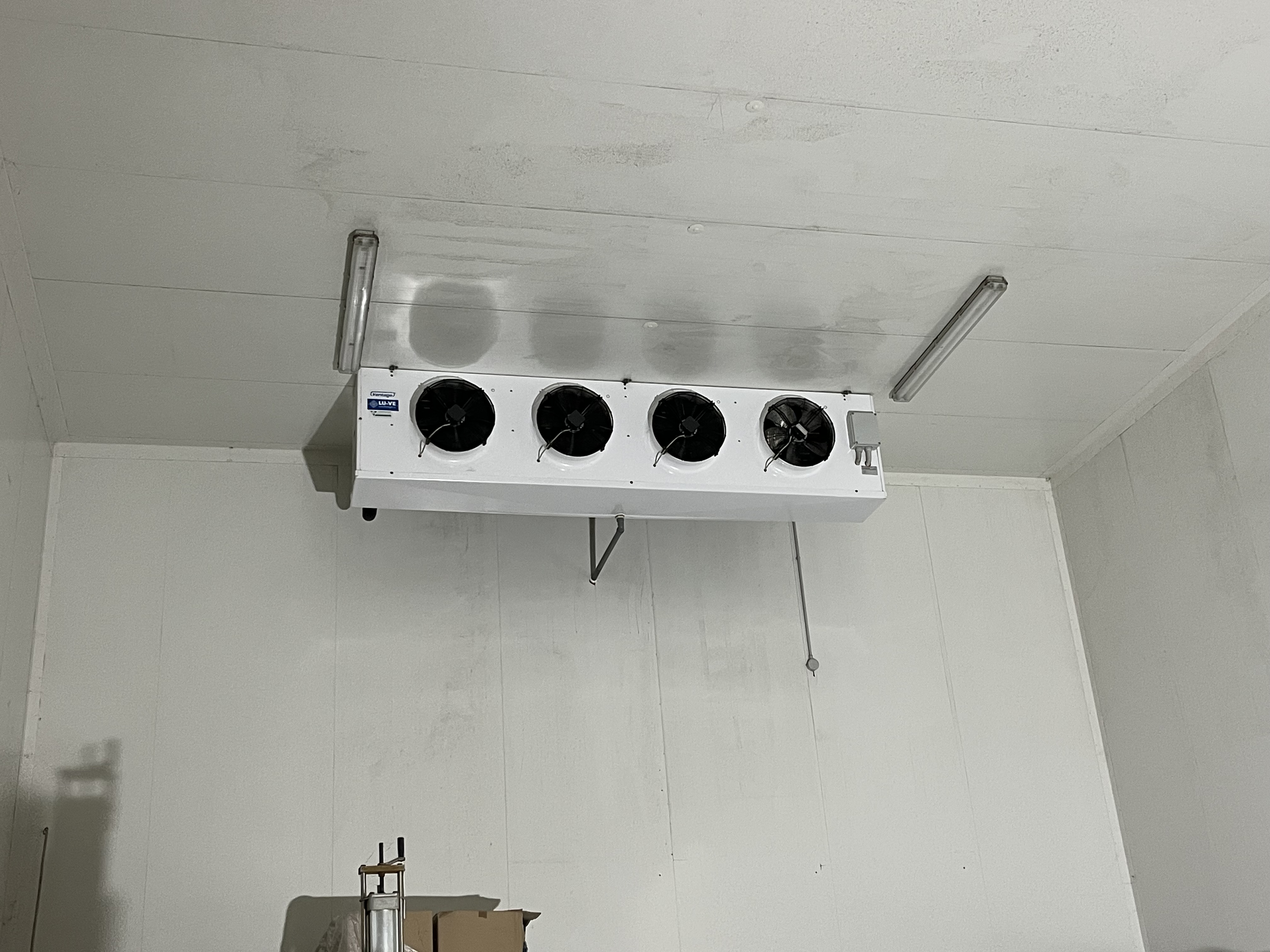 Cella Frigo grandi dimensioni in vendita - foto 3