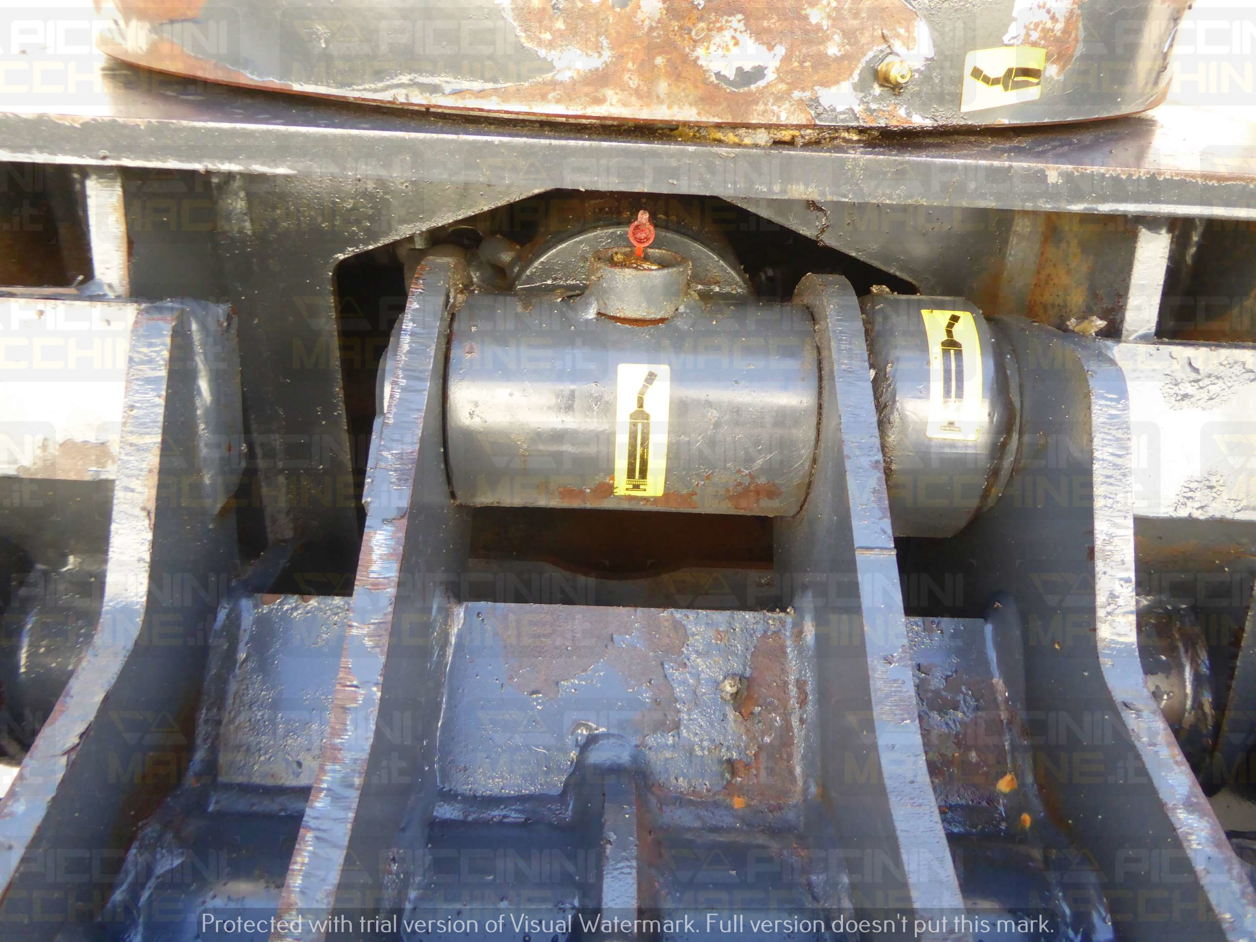 Pinza selezionatrice Cangini PF250 in vendita - foto 7