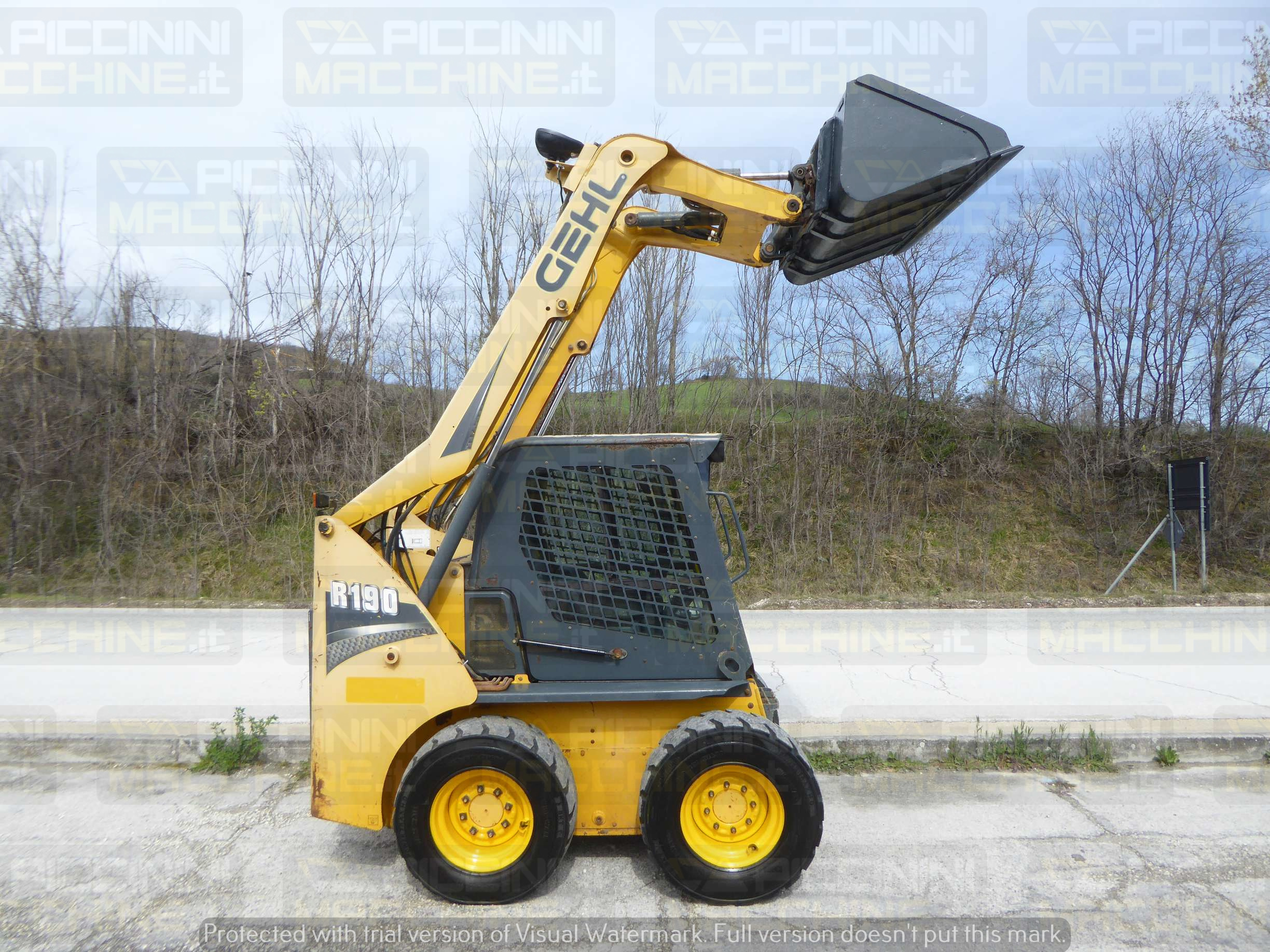 Minipala gommata Gehl R190 HF in vendita - foto 4