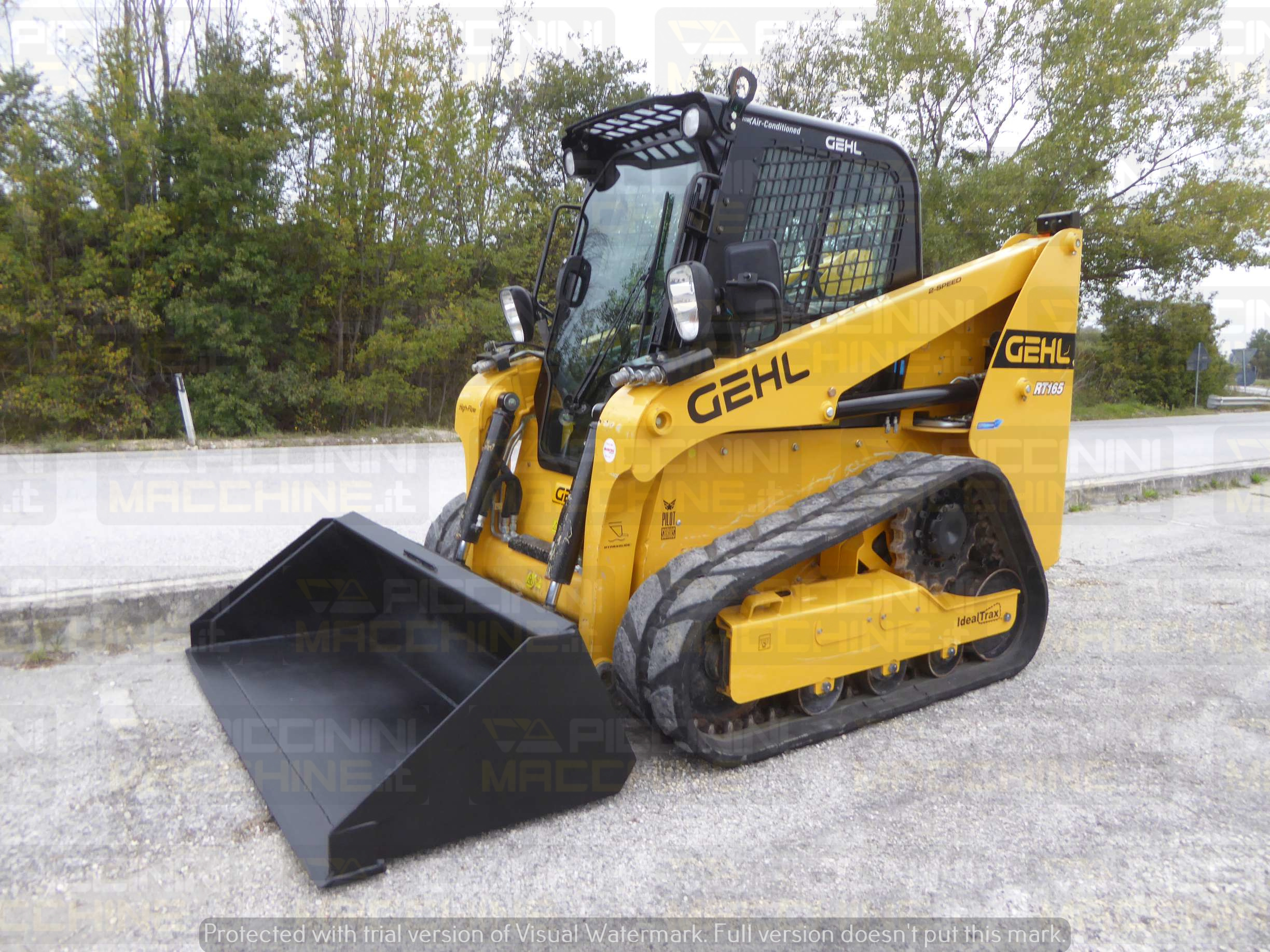 Pala cingolata Gehl RT165 HF in vendita - foto 2