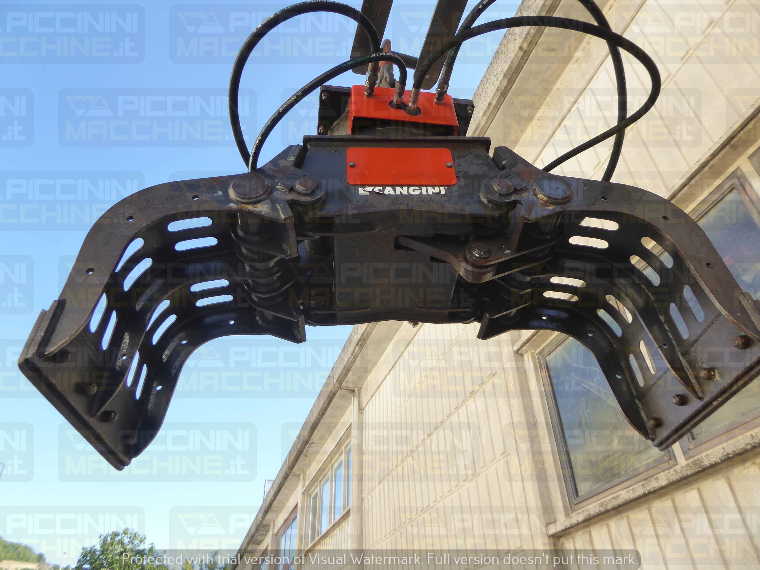 Pinza selezionatrice Cangini PF250 in vendita - foto 5