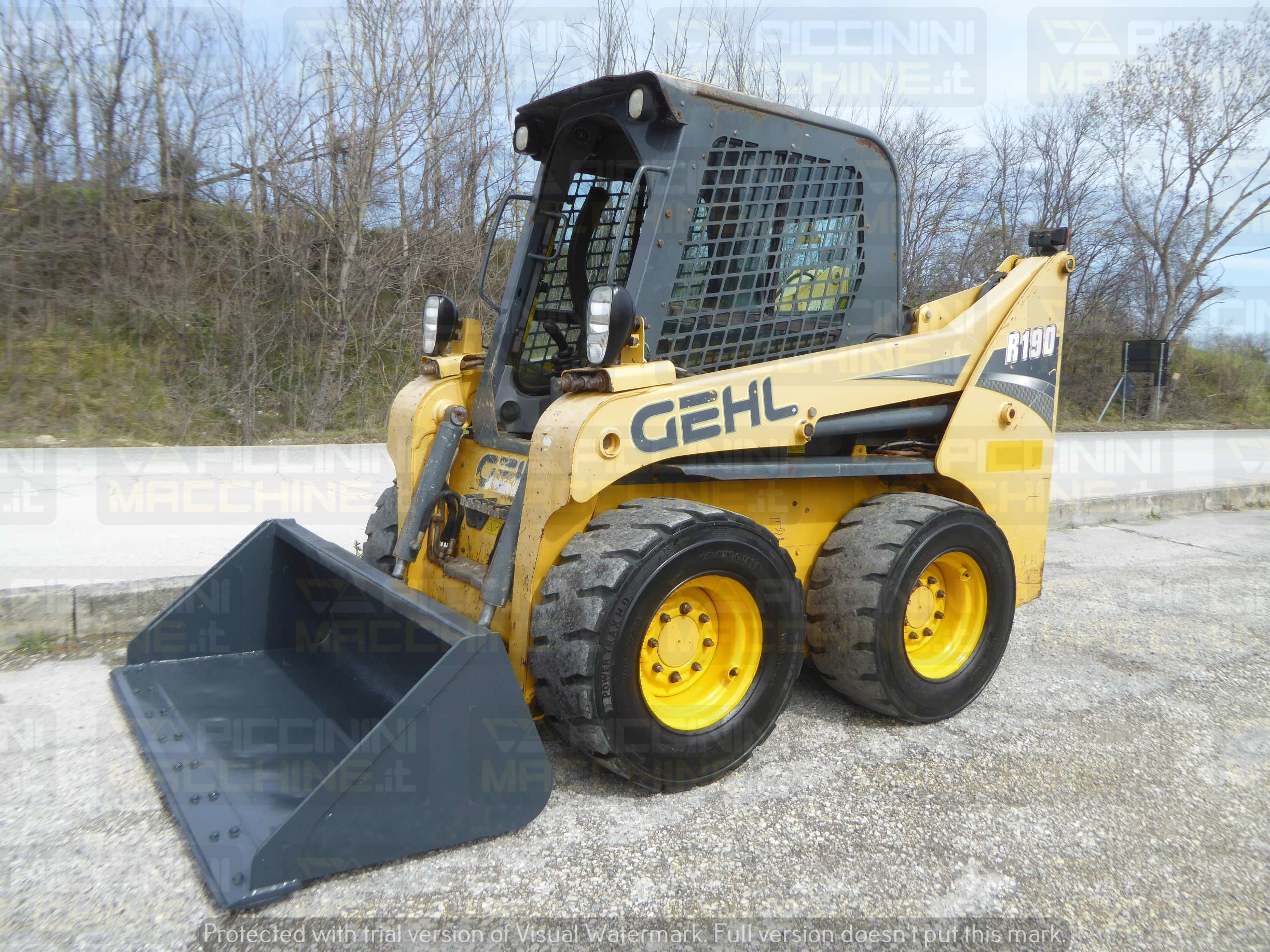 Minipala gommata Gehl R190 HF in vendita - foto 2