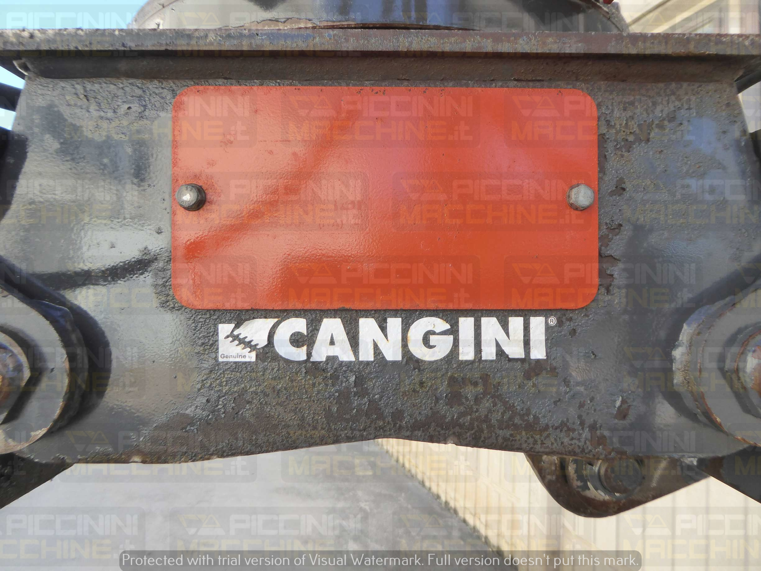 Pinza selezionatrice Cangini PF250 in vendita - foto 10