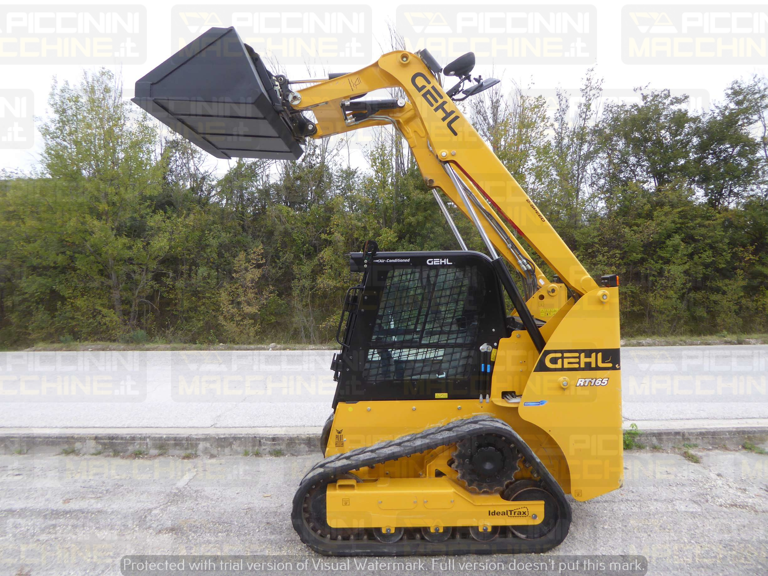 Pala cingolata Gehl RT165 HF in vendita - foto 4