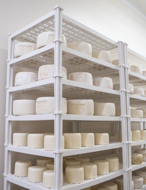 Griglia impilabile in plastica alimentare per formaggi in vendita - foto 4