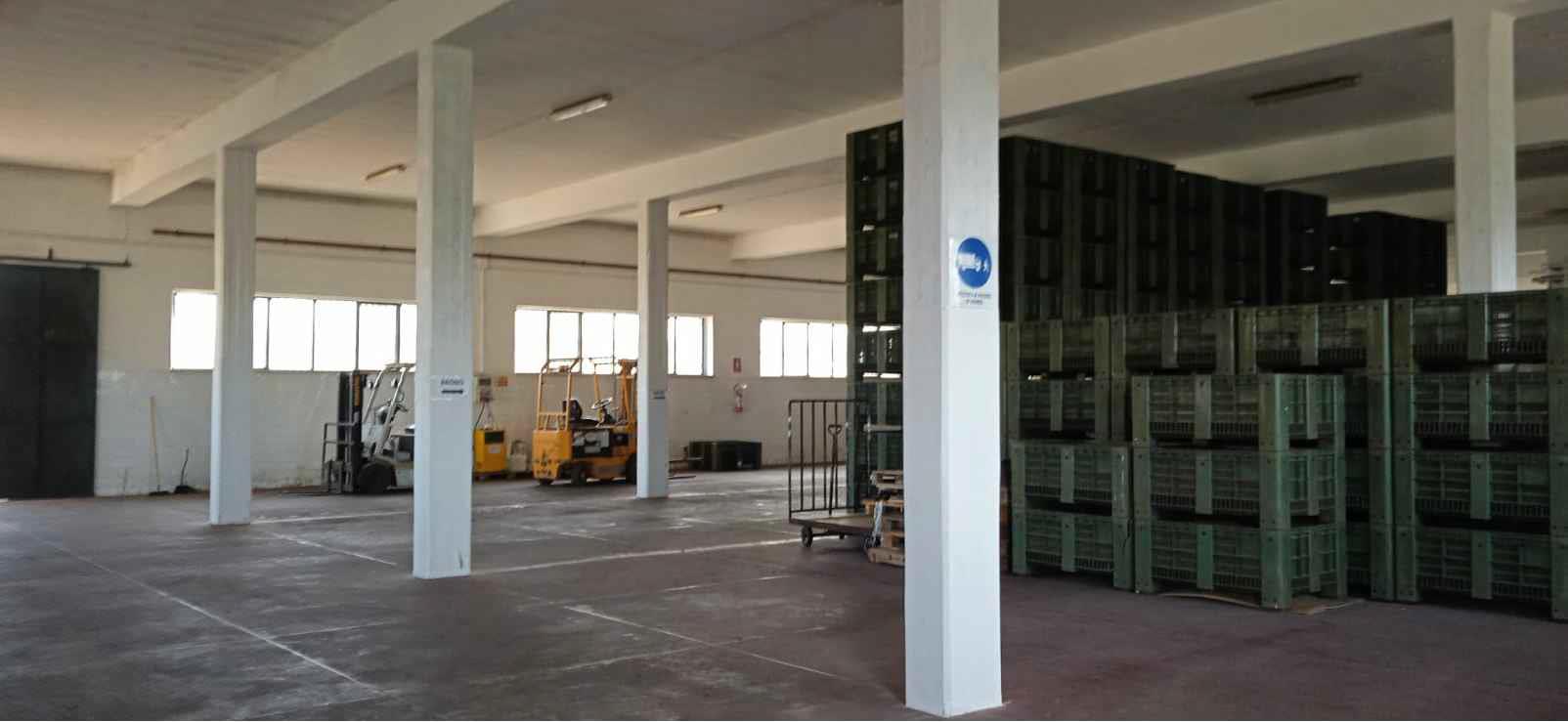 PORZIONE dei fabbricati e dei terreni in vendita - foto 6