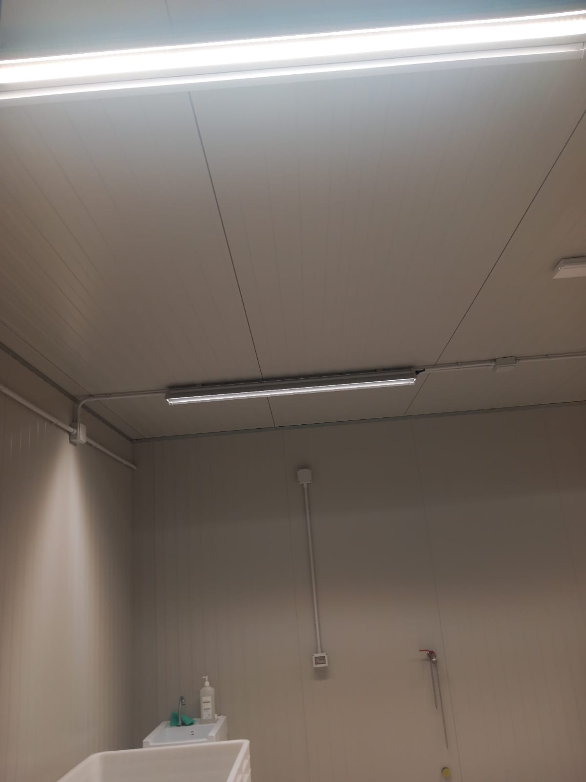 Locali e Impianti Industria Alimentare e Farmaceutica in vendita - foto 4