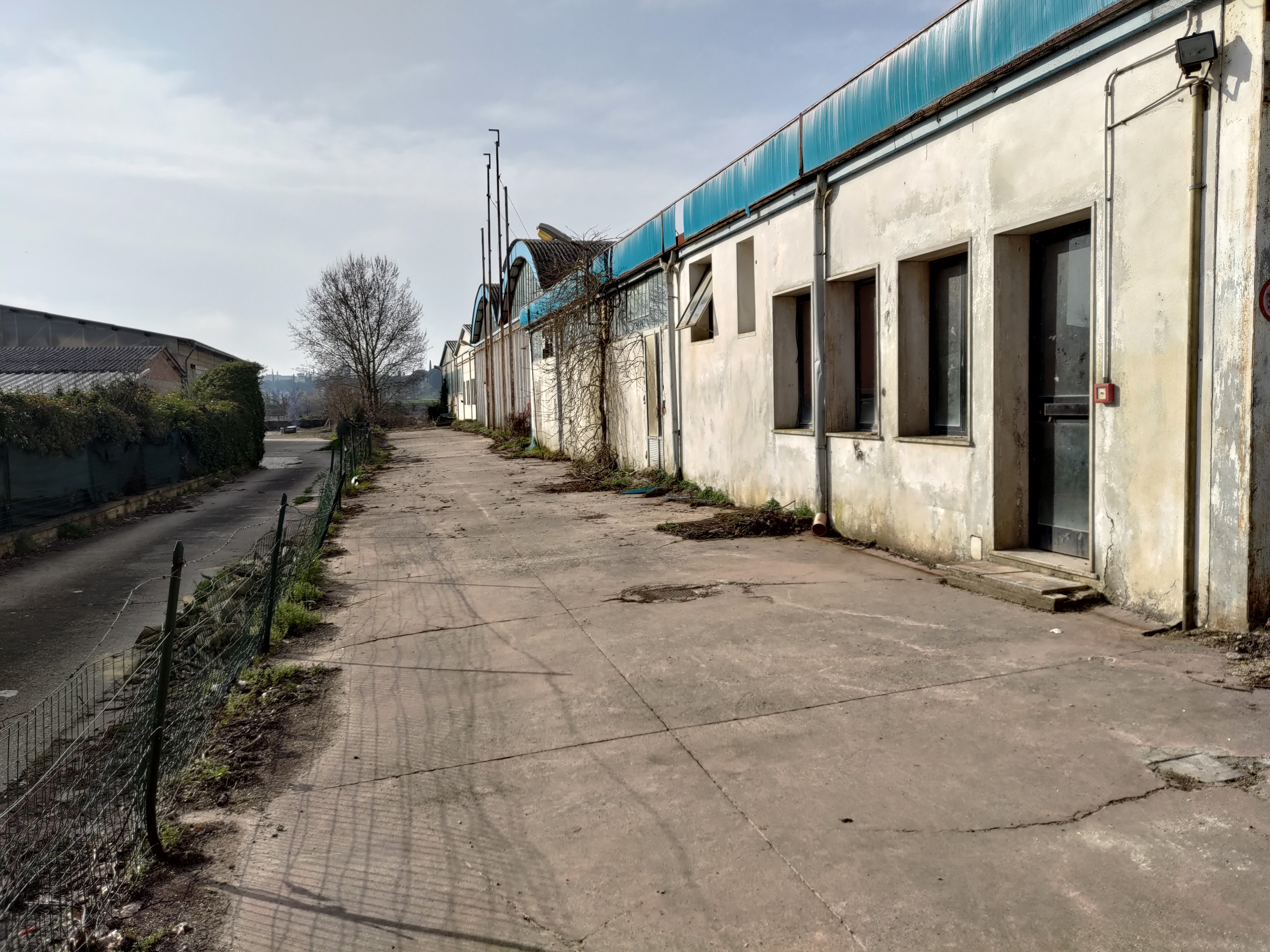 CAPANNONE INDUSTRIALE A 6 KM DALL'A1 USCITA VALDICHIANA in vendita - foto 2
