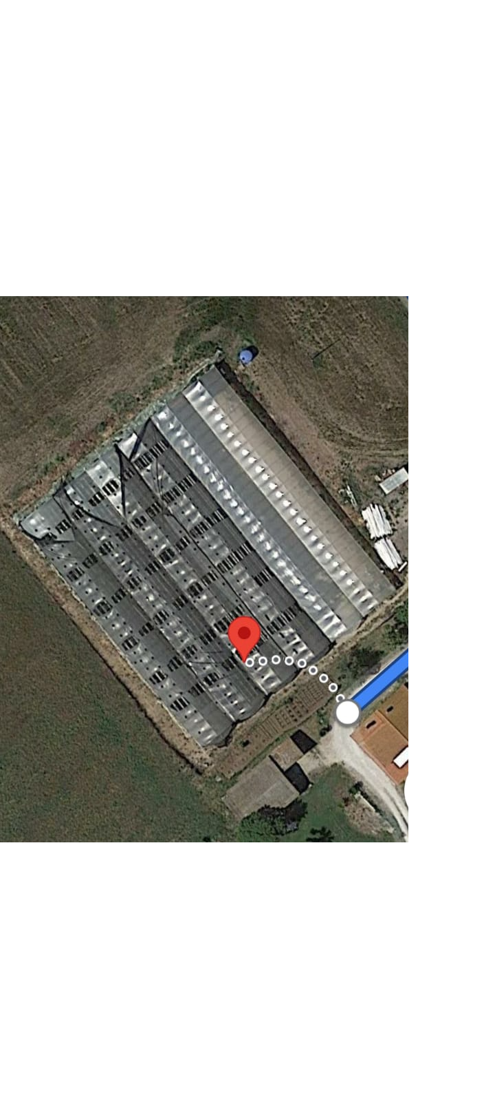 Serre in vendita - foto 11