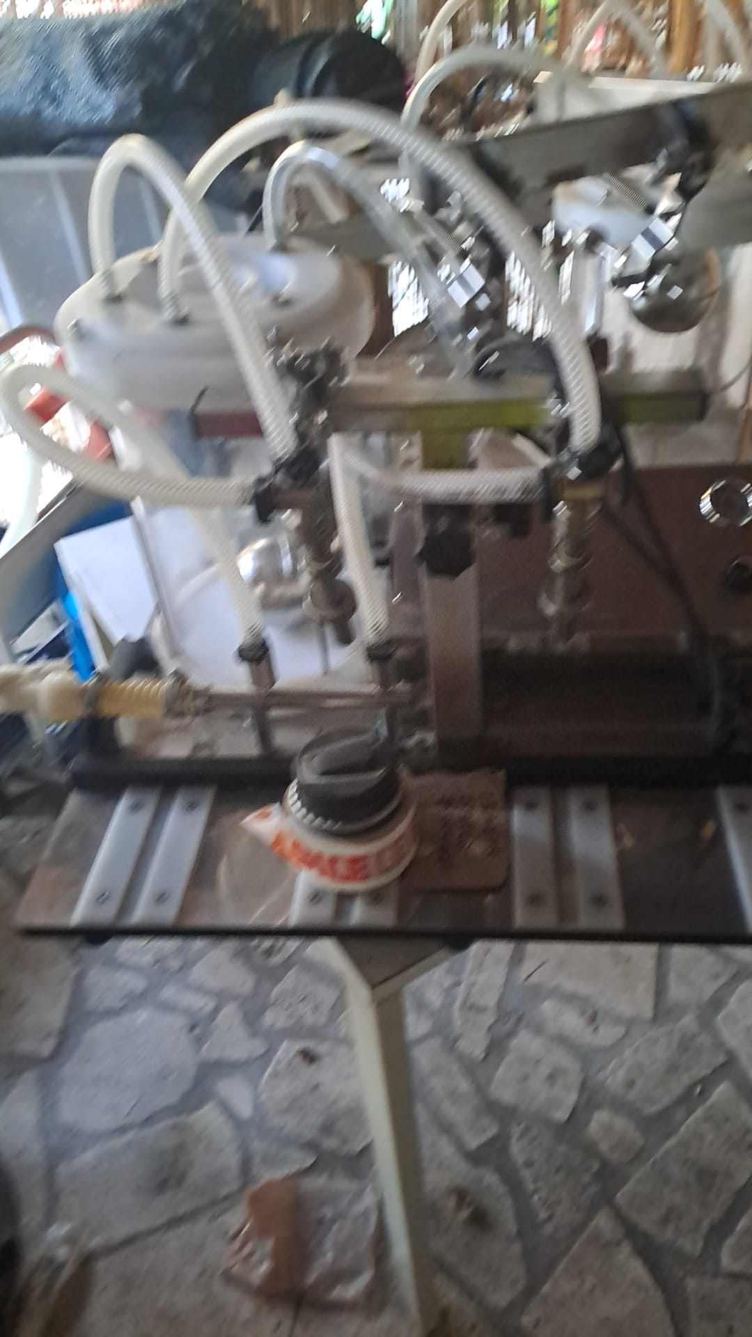 Imbottigliatrici e Tappatrice in vendita - foto 4