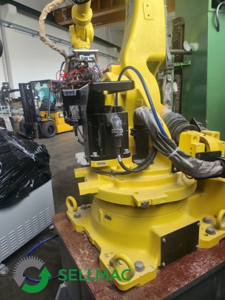 ROBOT MANIPOLATORE CON BRACCIO A VENTOSA in vendita - foto 3
