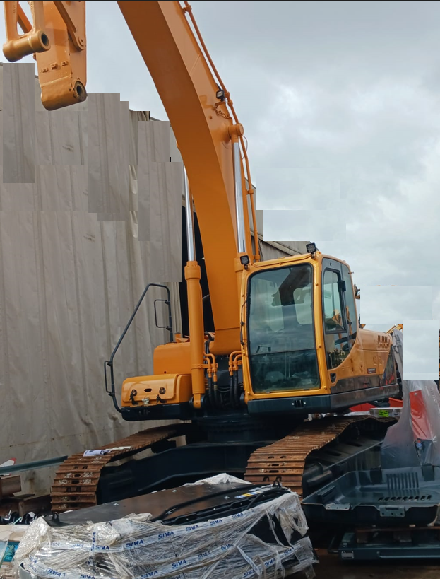 ESCAVATORE HYUNDAI 290 in vendita - foto 6