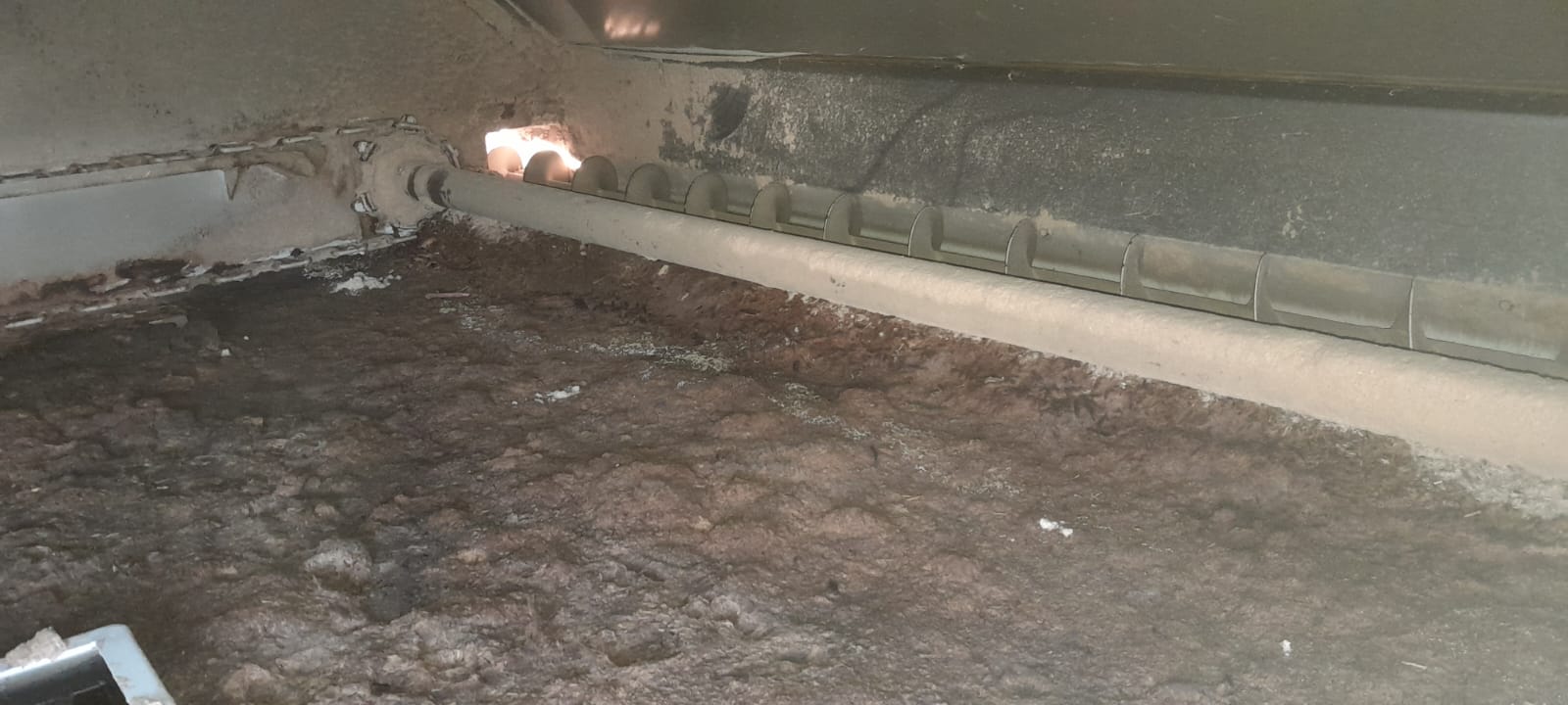 Essiccatore a nastro per segatura in vendita - foto 11