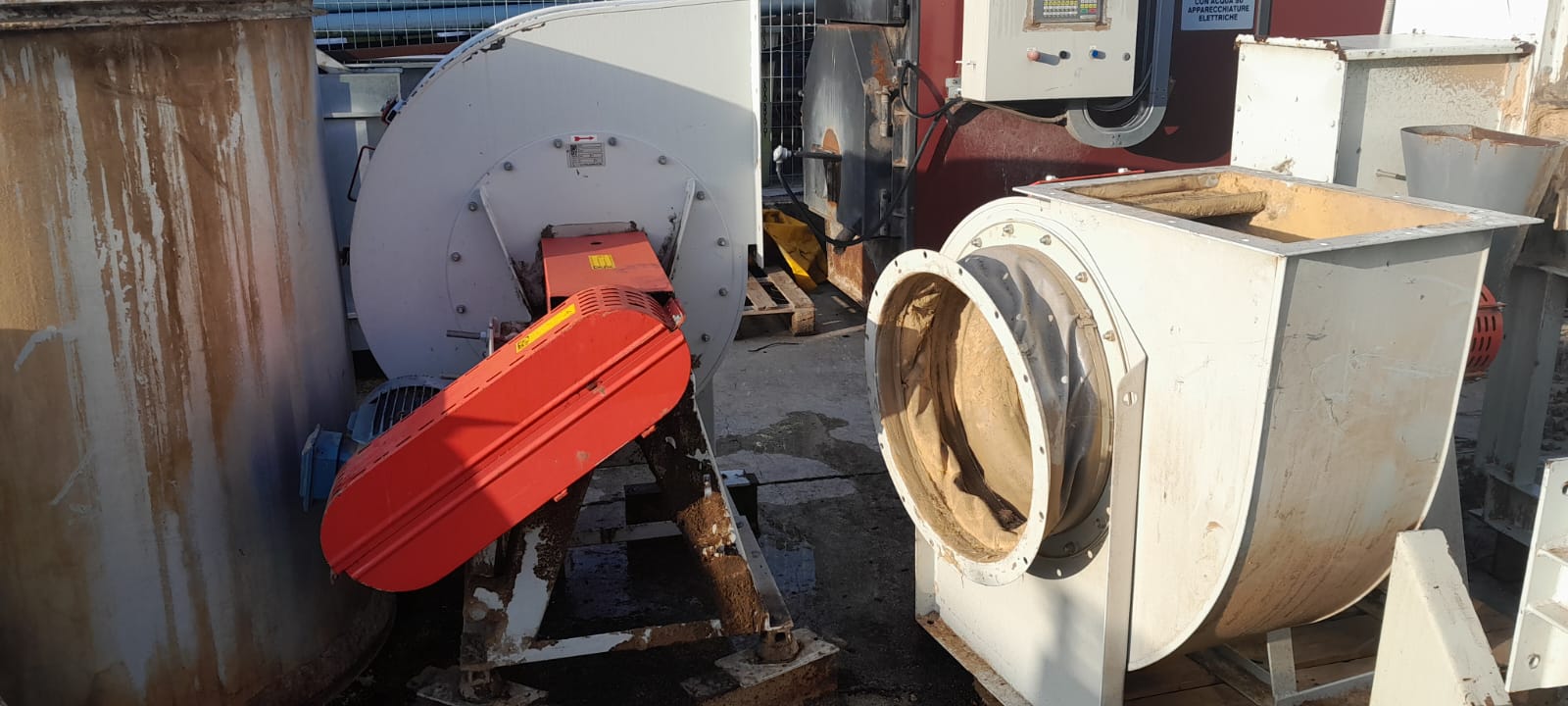 Essiccatore a nastro per segatura in vendita - foto 3