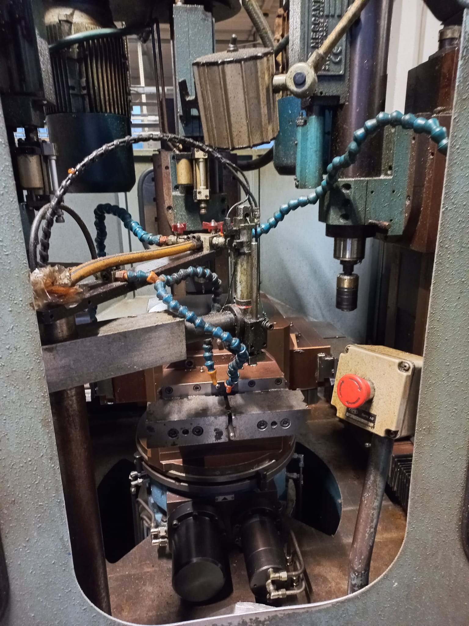 MACCHINA TRANSFER in vendita - foto 3