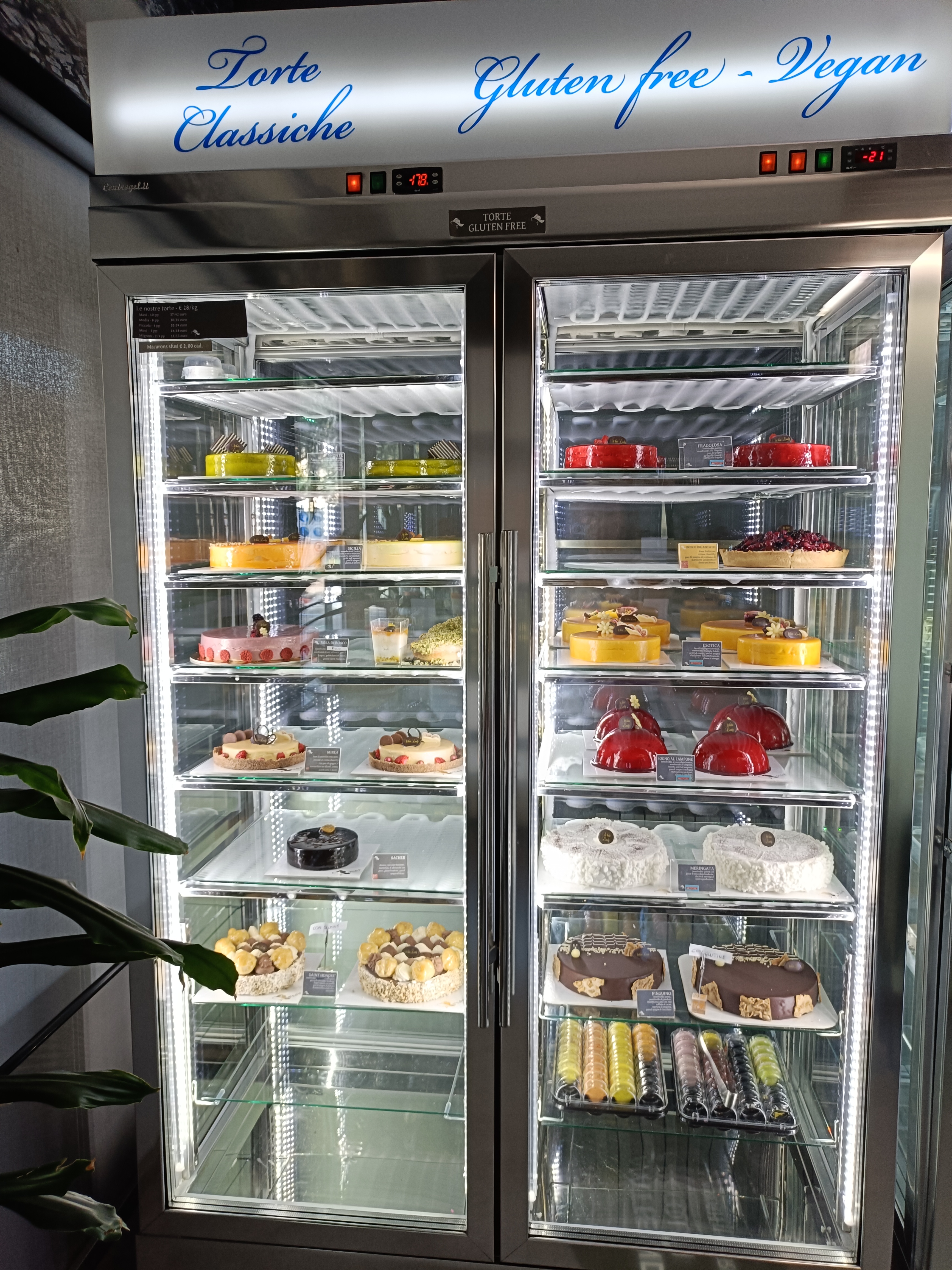 Gelateria torteria storica intolleranze alimentari  in vendita - foto 2