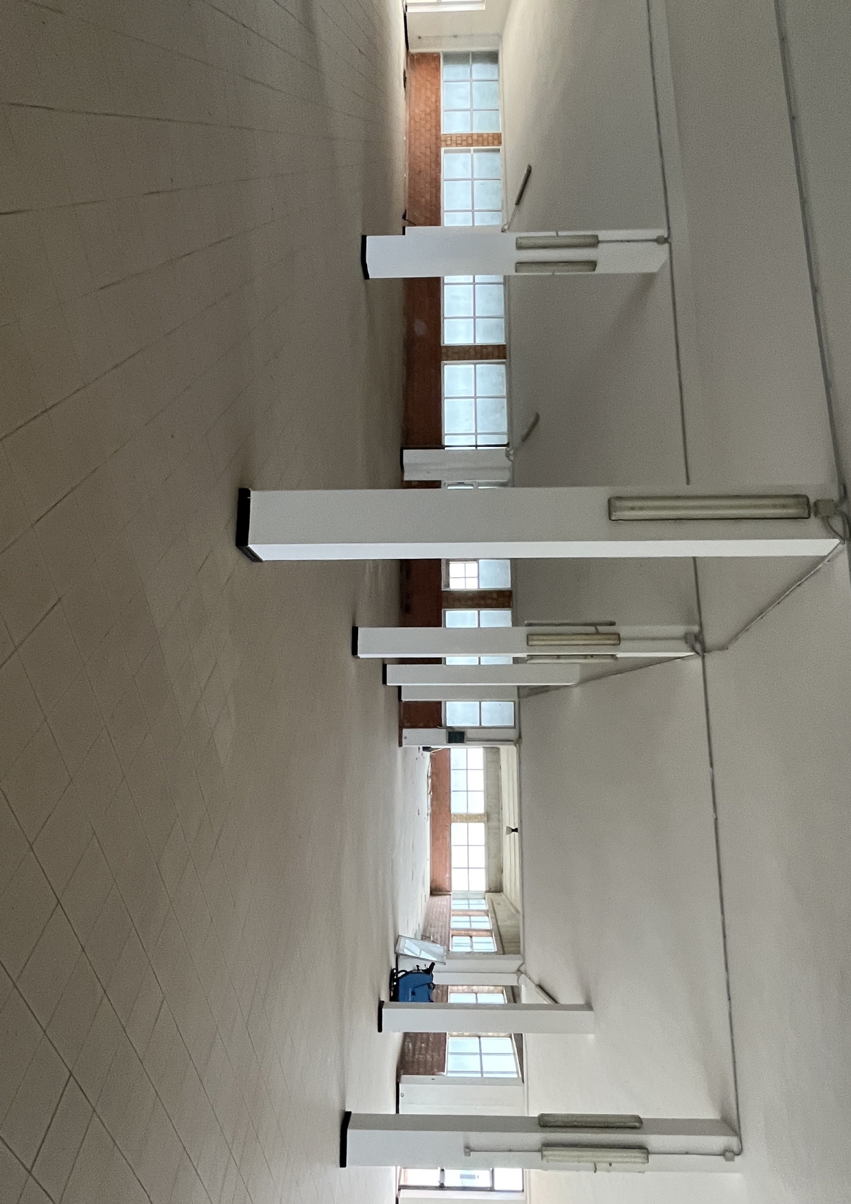 CAPANNONE INDUSTRIALE ottima opportunità in vendita - foto 2