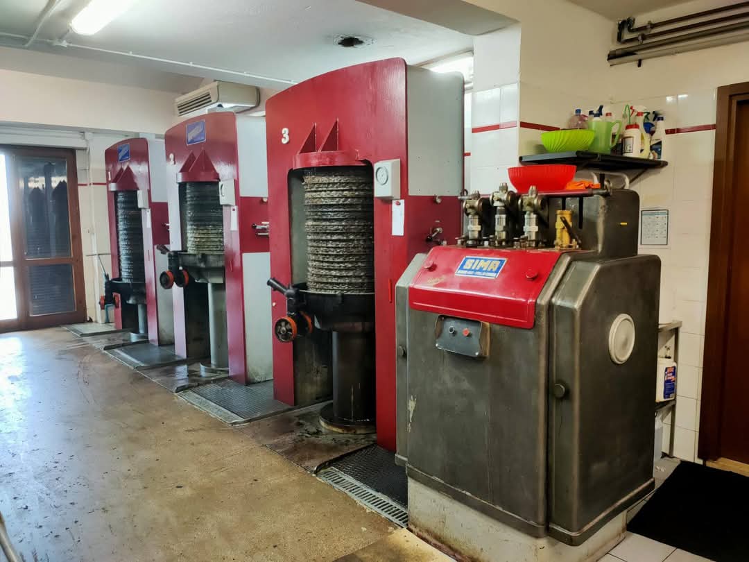 Frantoio a Presse Rapanelli in vendita - foto 1