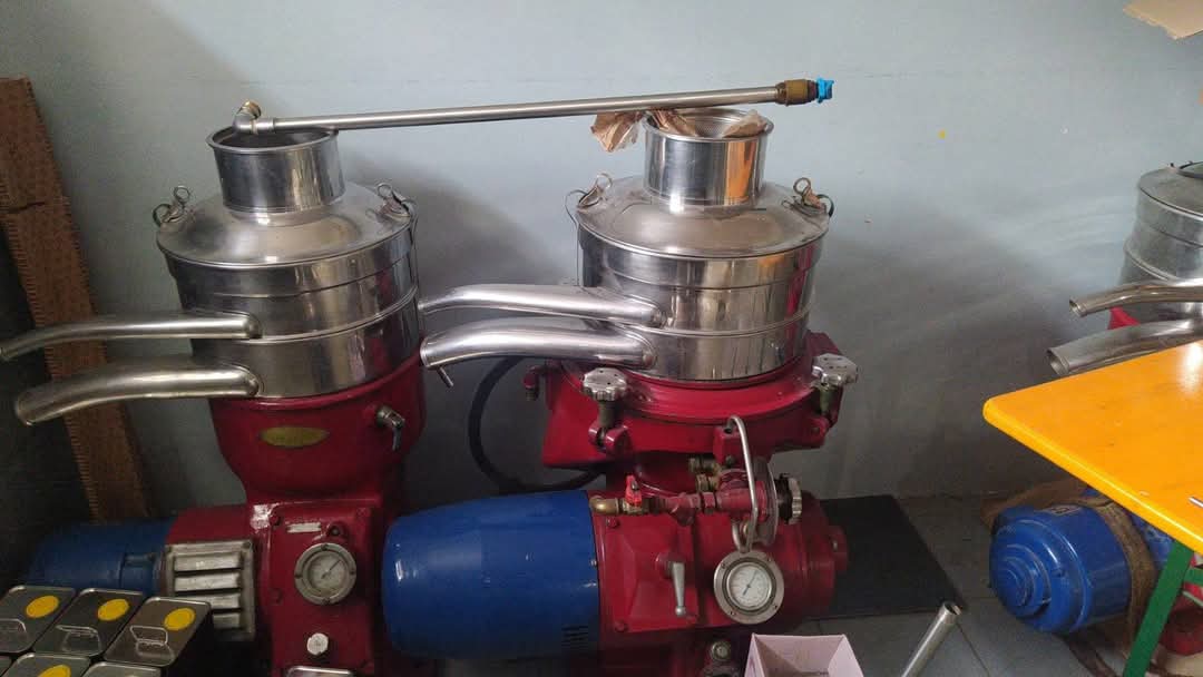 Frantoio a Presse Rapanelli in vendita - foto 4