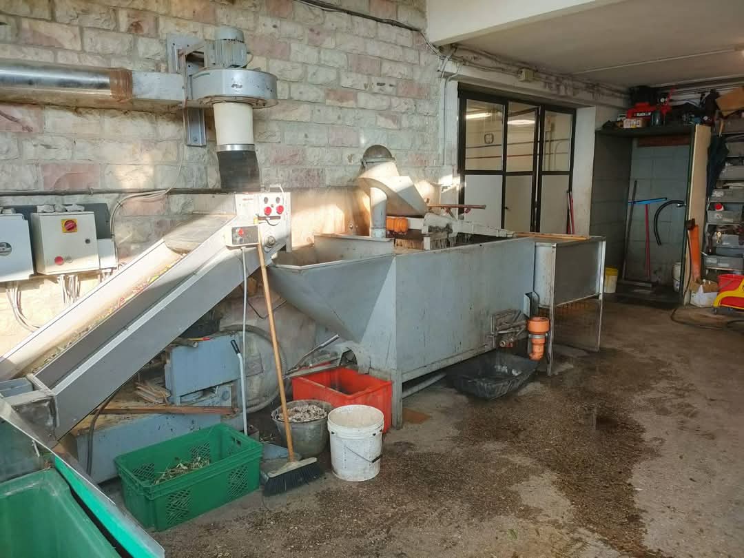 Frantoio a Presse Rapanelli in vendita - foto 3
