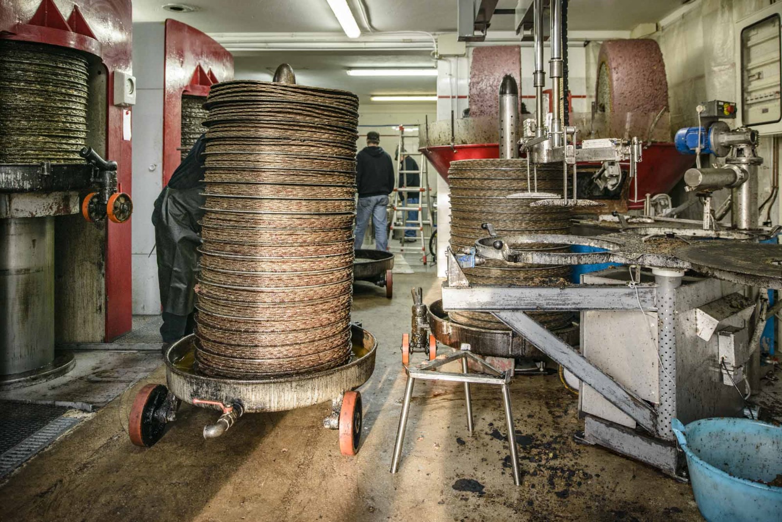 Frantoio a Presse Rapanelli in vendita - foto 7