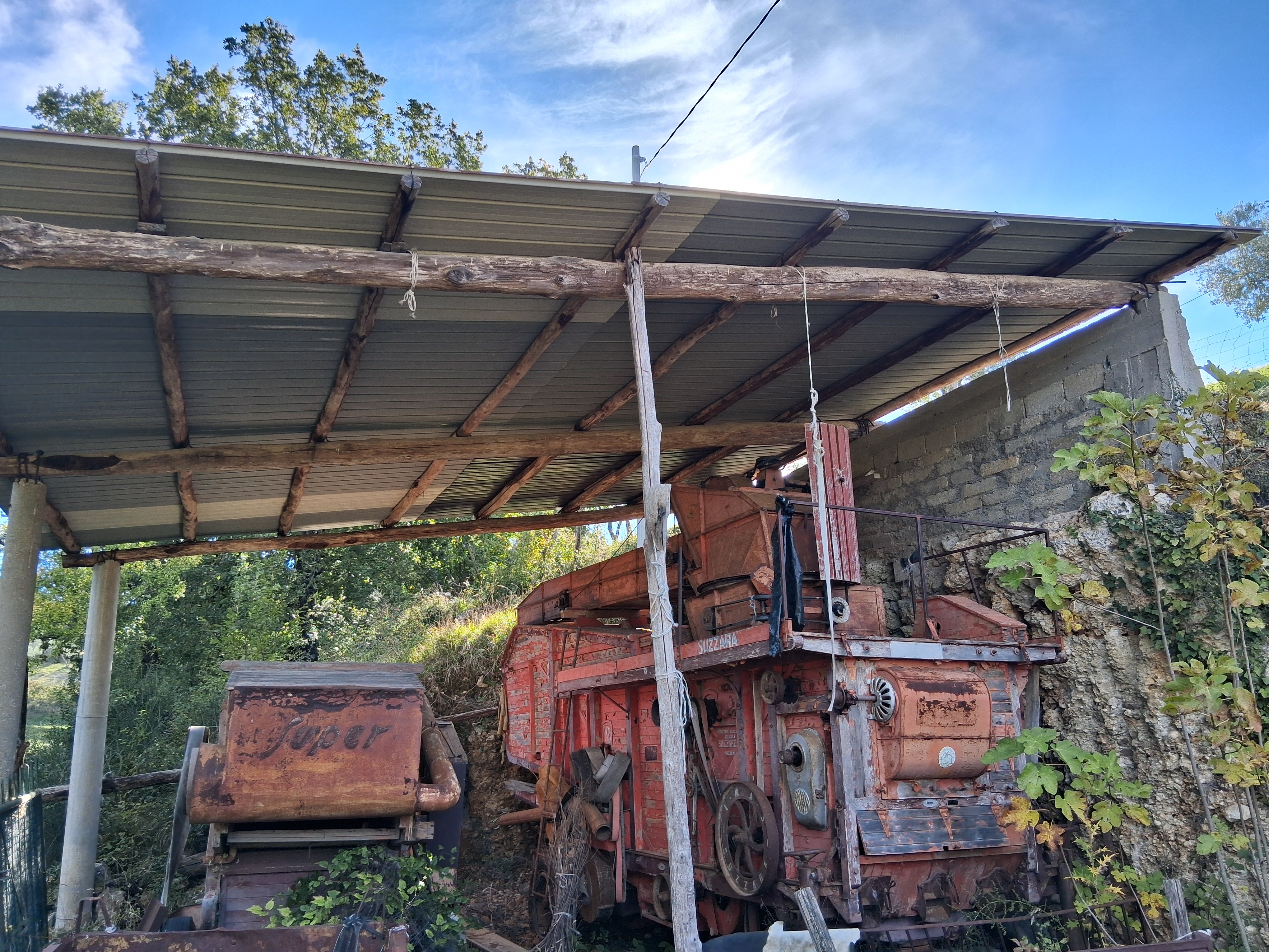 Trebbiatrice grano/granturco  in vendita - foto 5