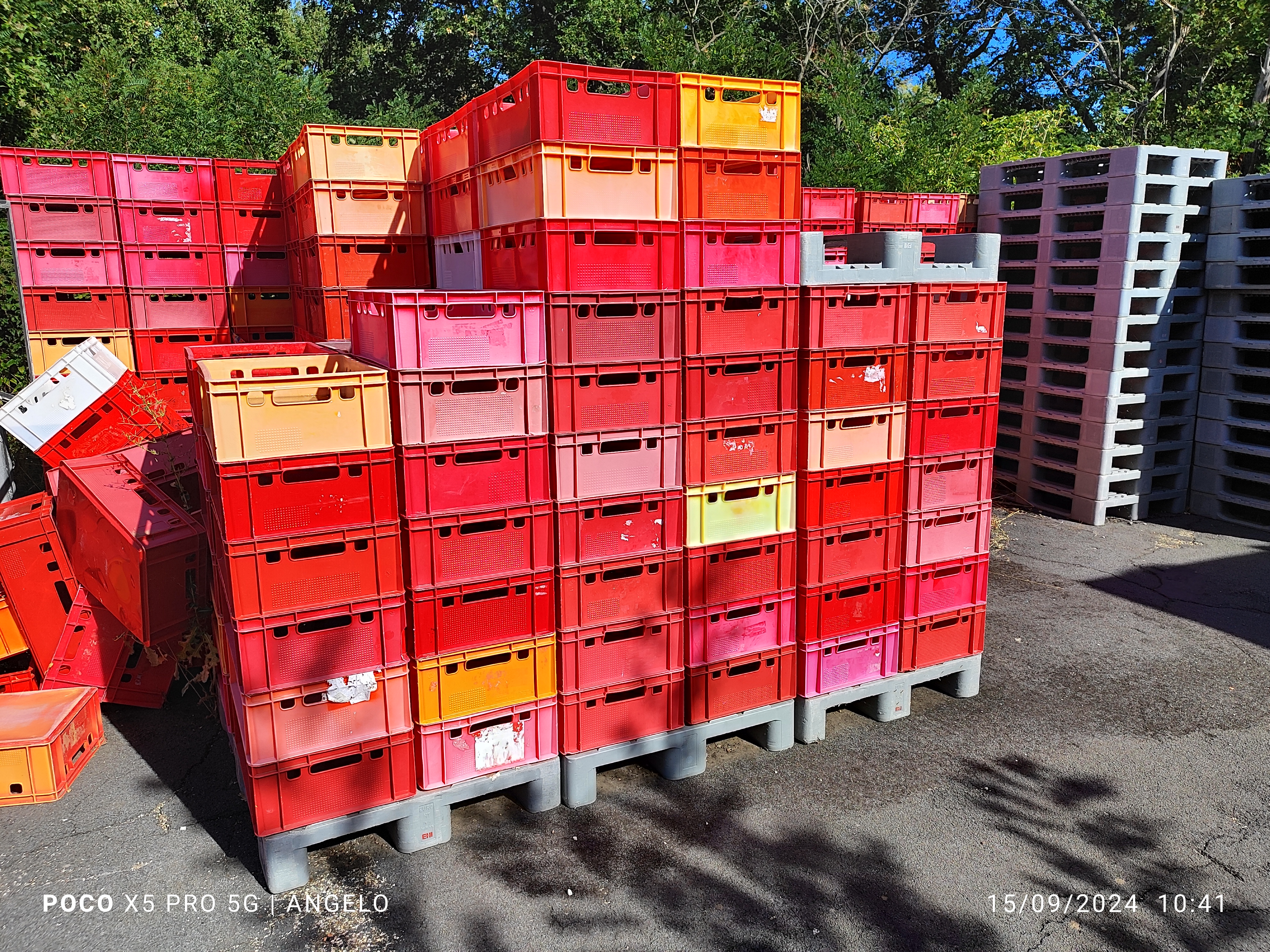 casse rosse in vendita - foto 1