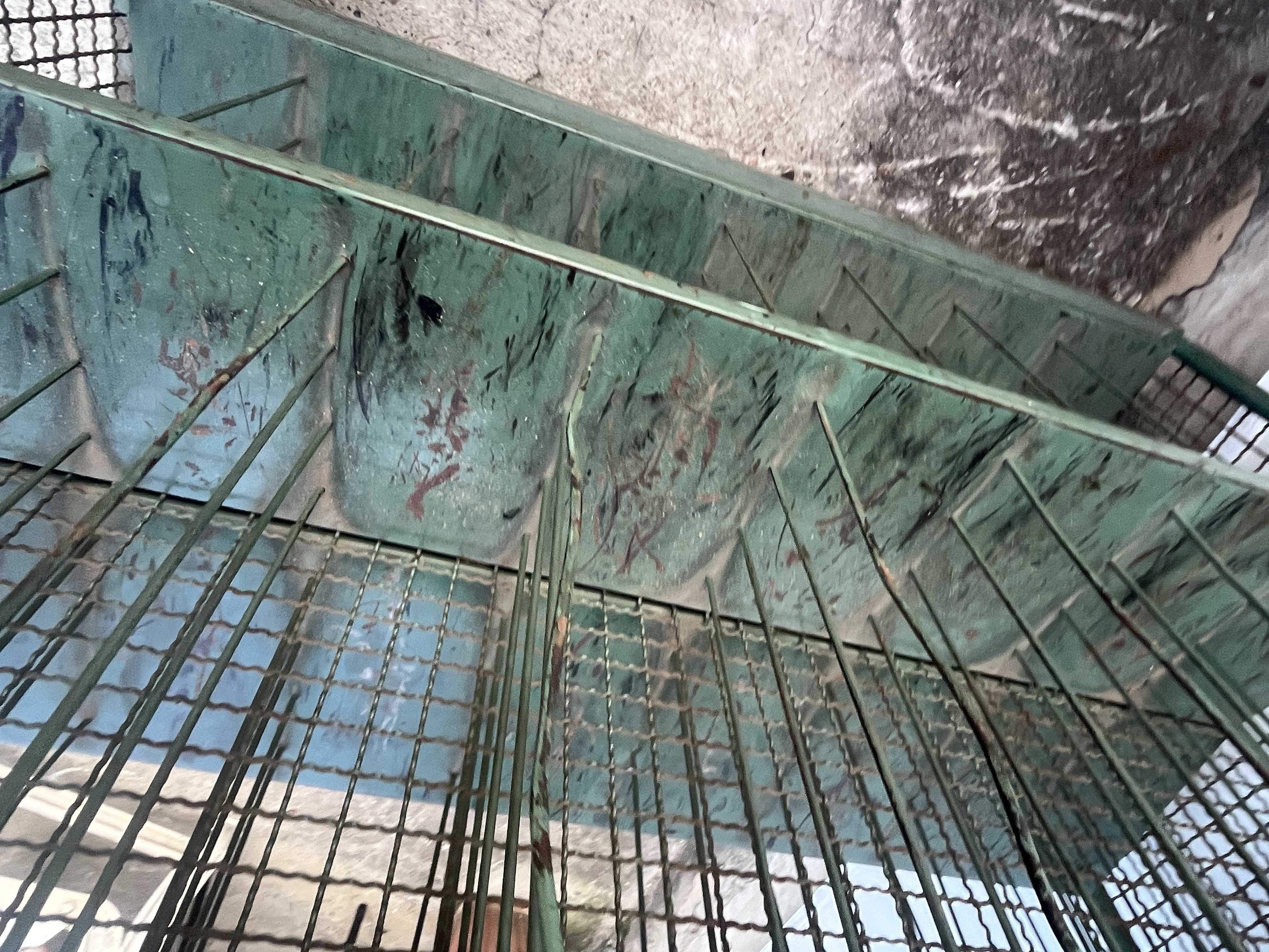 Carrelli per suolificio usati in vendita - foto 10