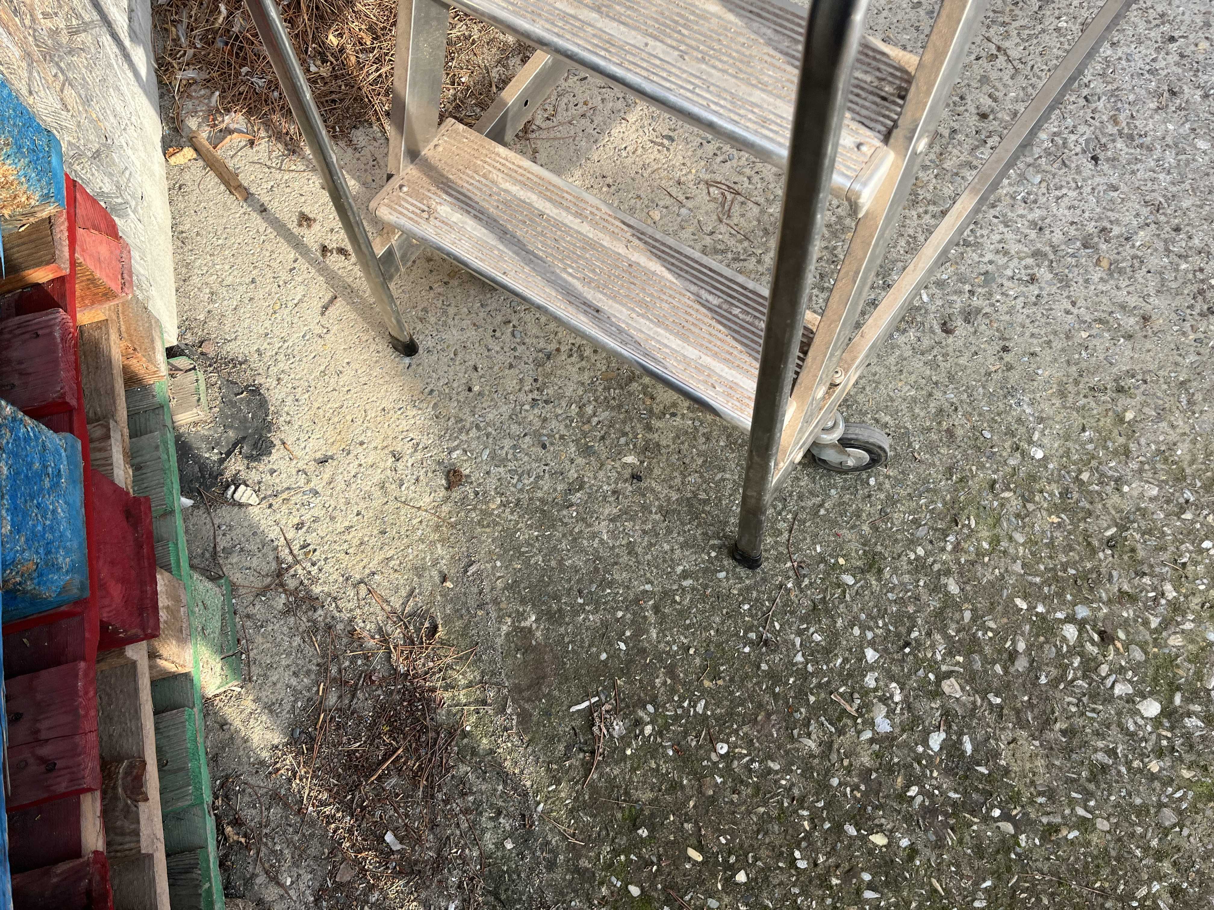 Scala a Castello  Palchetto Acciaio Inox H 200 in vendita - foto 14