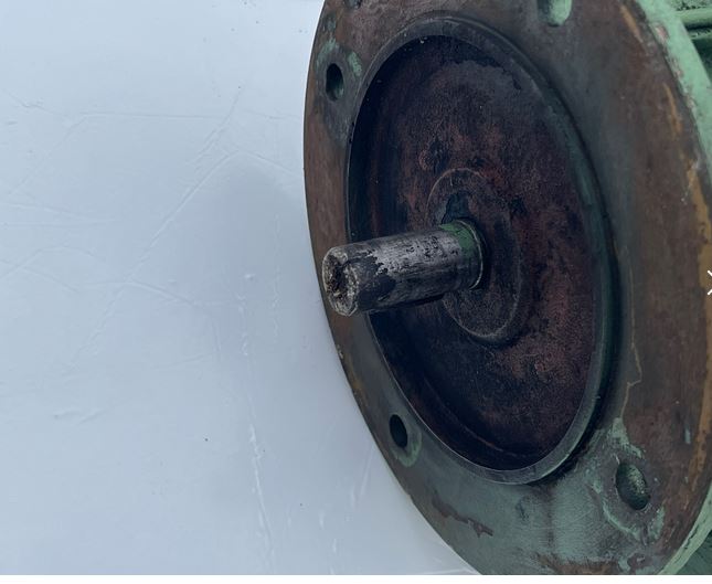 Motore Asincrono Trifase A80B2 HP 1,5 – 2820 giri in vendita - foto 4
