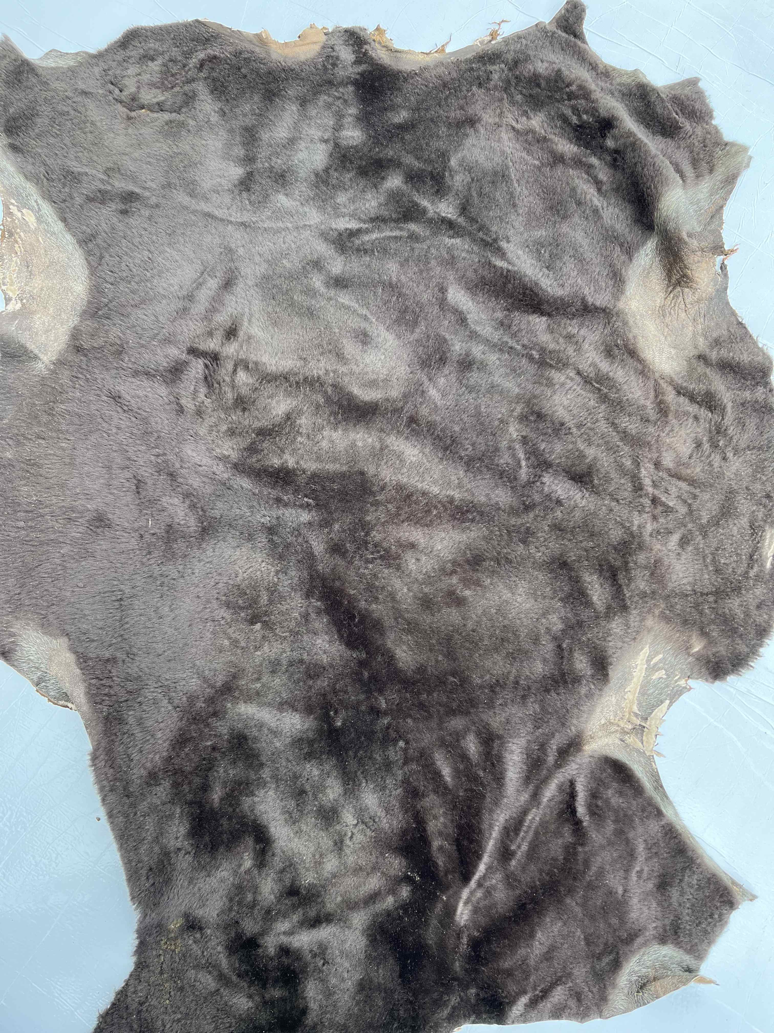 Stock pellame shearling – n. 100 Pelli in vendita - foto 4