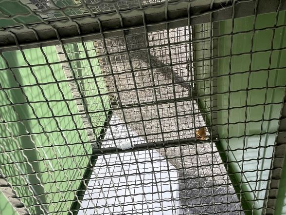 Scaffale Porta Forme Calzaturifici, Edilizia, Idraulici in vendita - foto 6
