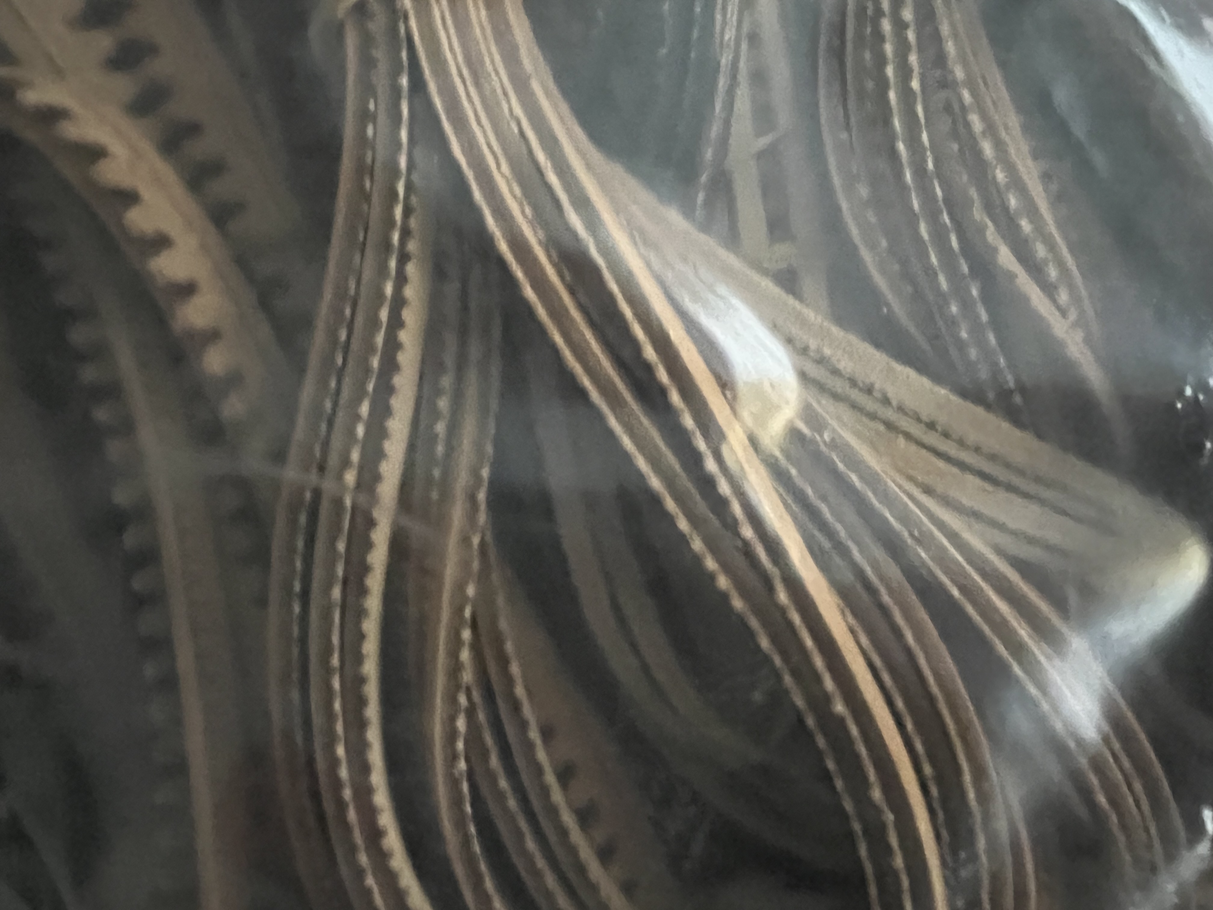 Stock Guardolo in Cuoio e Salpa per Export – KG. 300 in vendita - foto 8