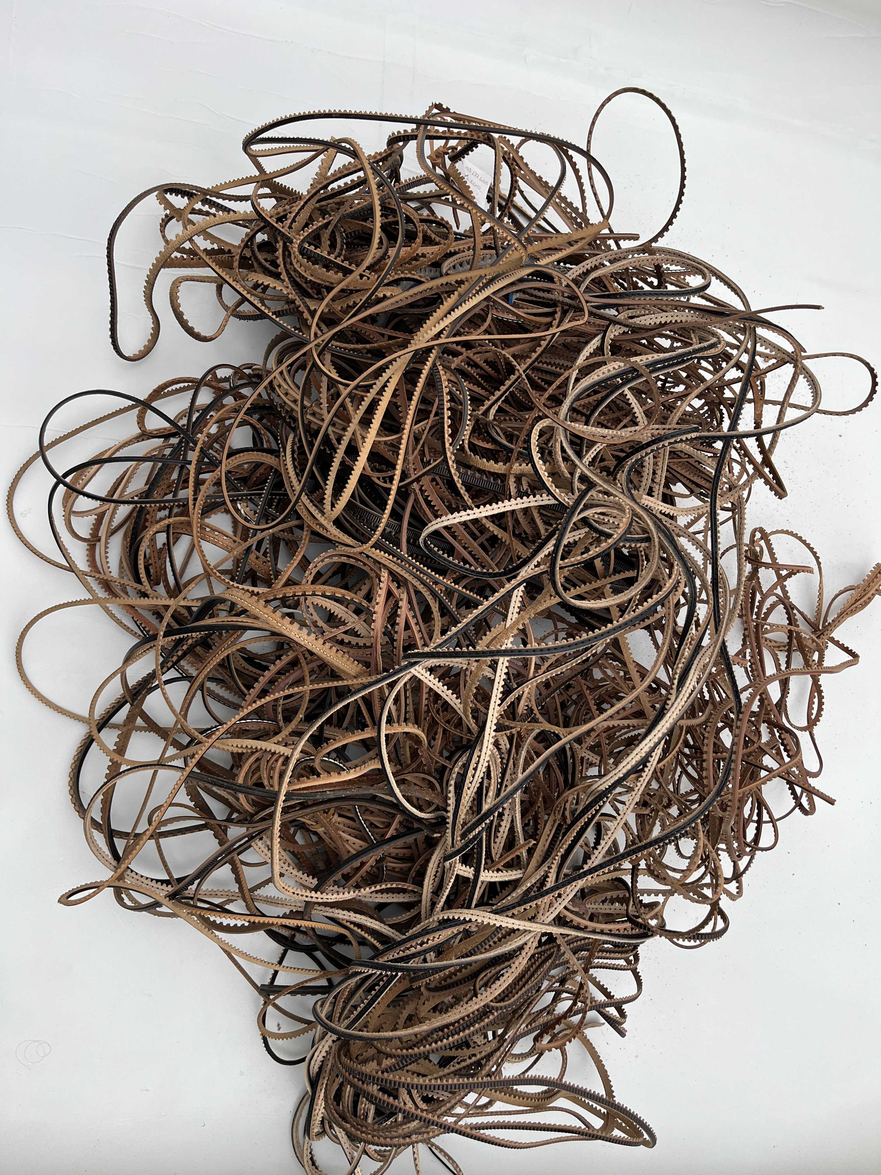 Stock Guardolo in Cuoio e Salpa colori vari per Export in vendita - foto 1