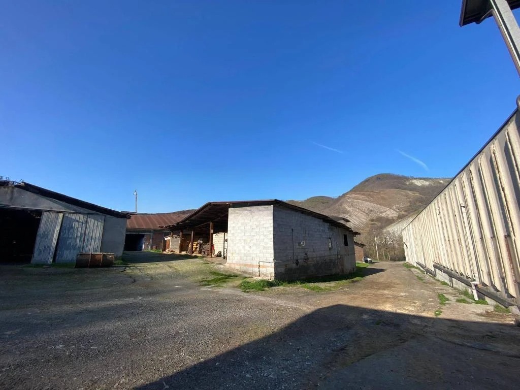 CAPANNONE PRODUTTIVO IN VIA ESTENSE (SERRAMAZZONI) in vendita - foto 11