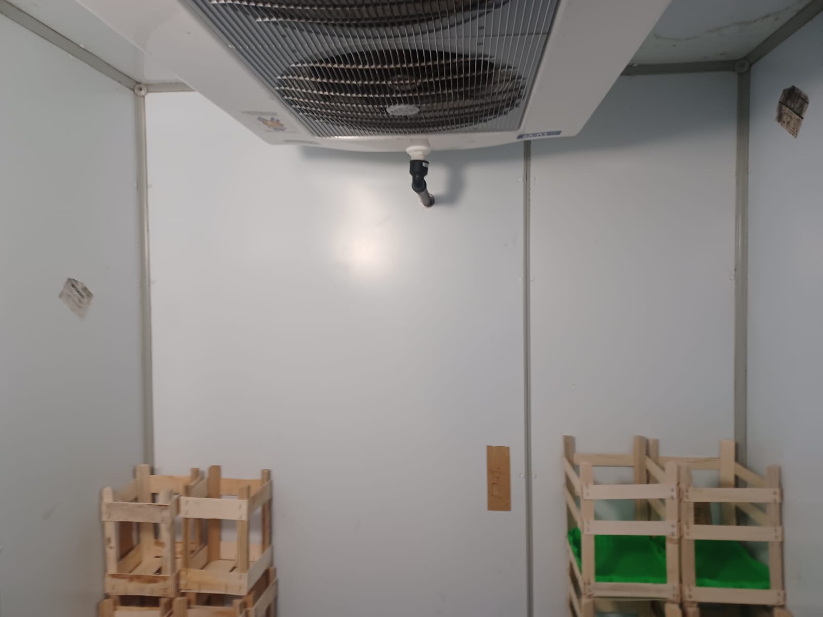 Cella frigorifera usata L 212 cm x P 210 cm x H 240 cm in vendita - foto 6