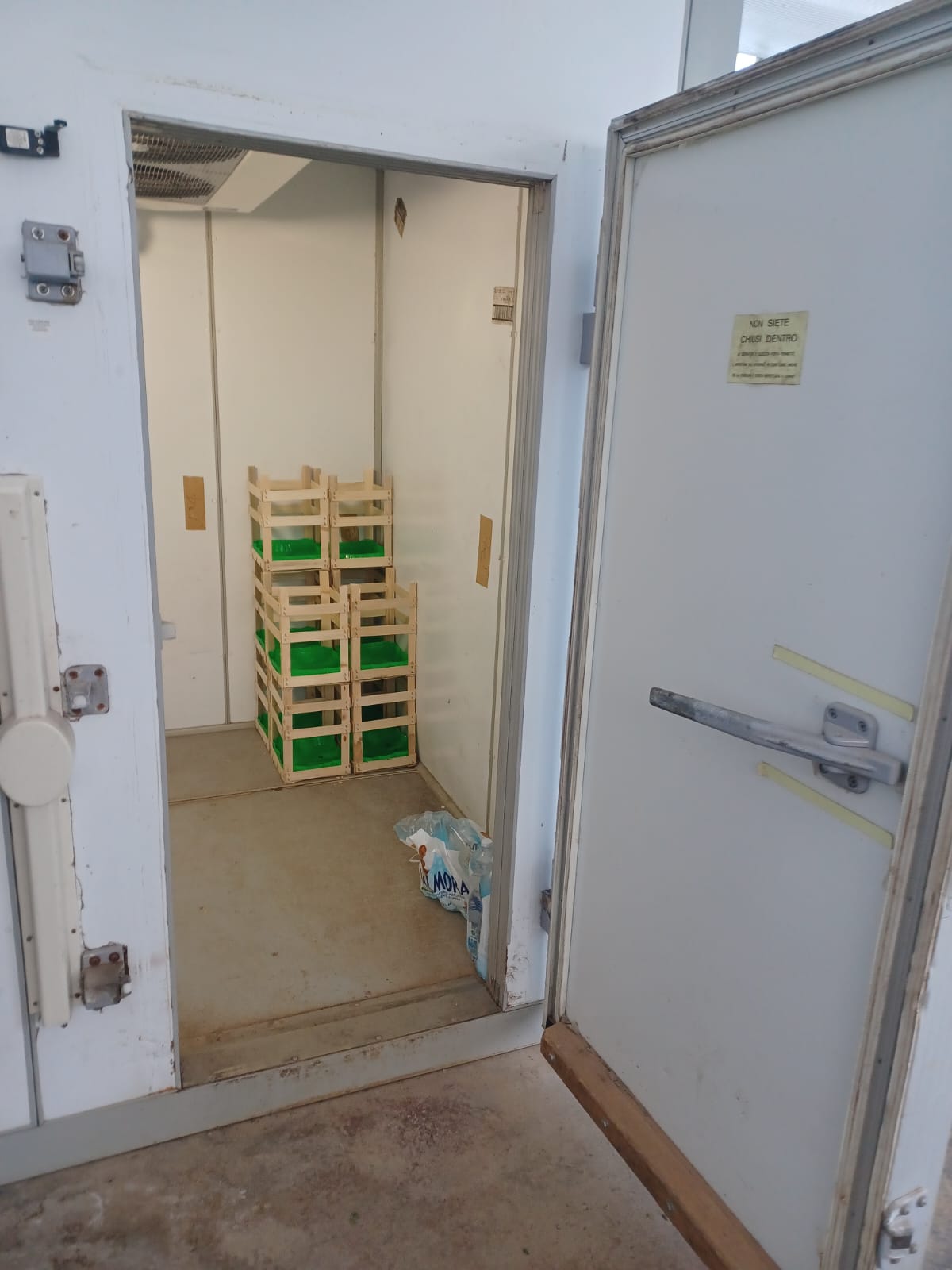 Cella frigorifera usata L 212 cm x P 210 cm x H 240 cm in vendita - foto 4
