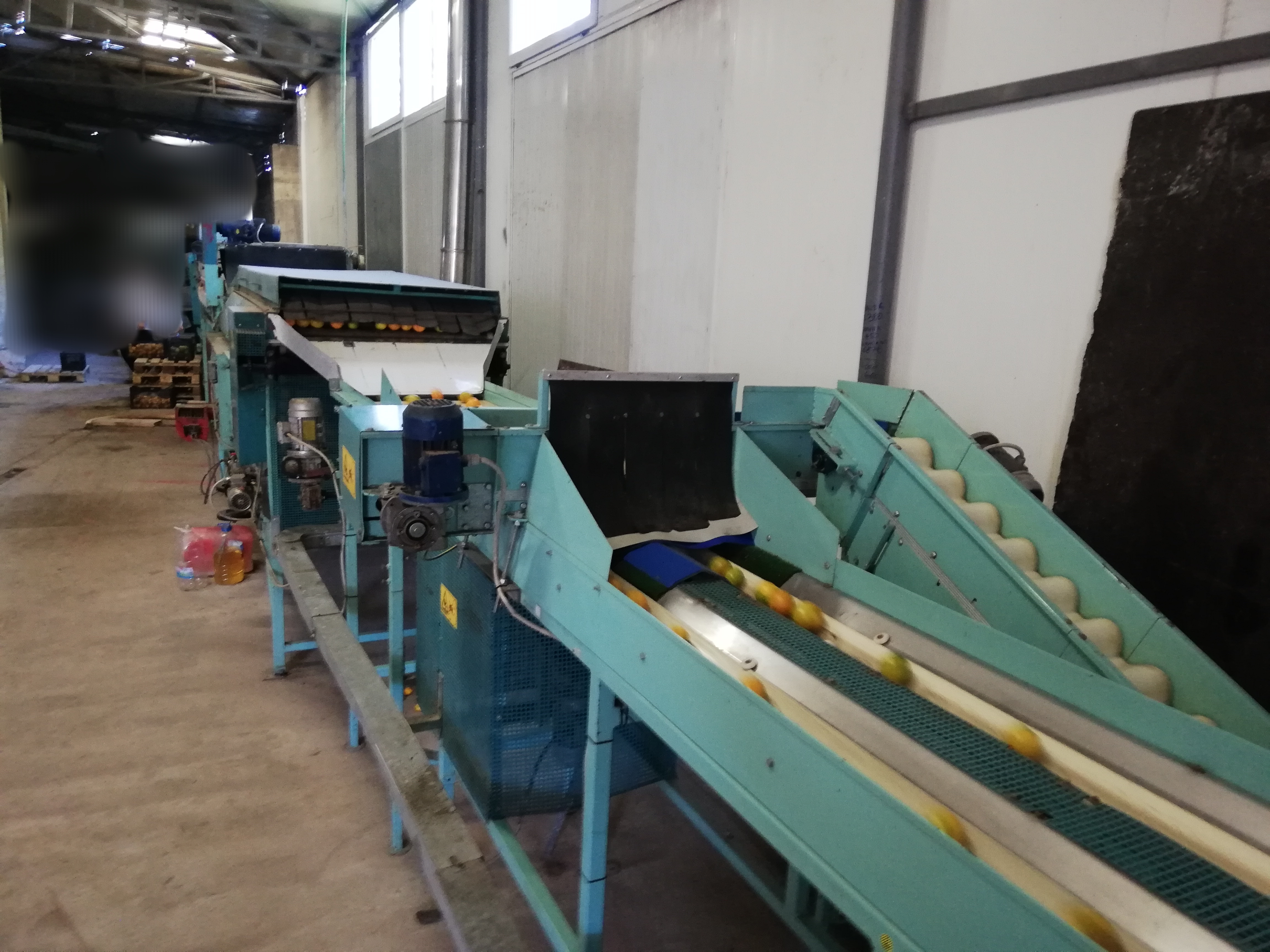 Calibrator for washing and calibrating fruits in vendita - foto 1