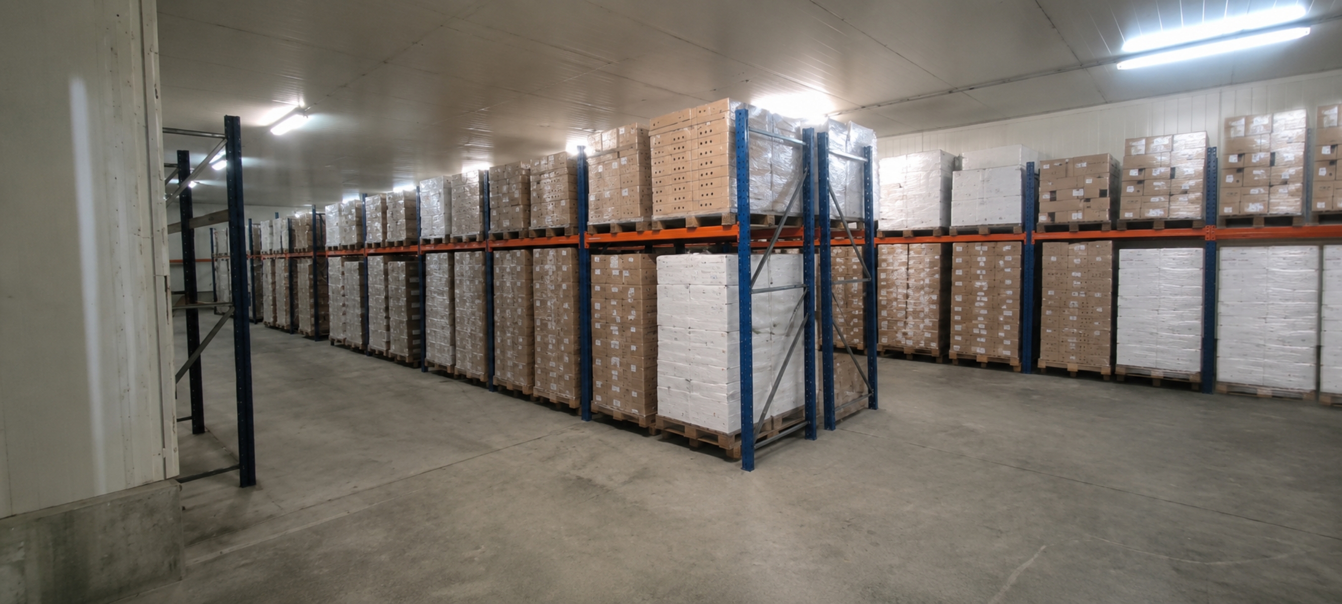 COLD STORAGE &PALLET CROATIA −25°C CROSS-DOCKING in vendita - foto 6