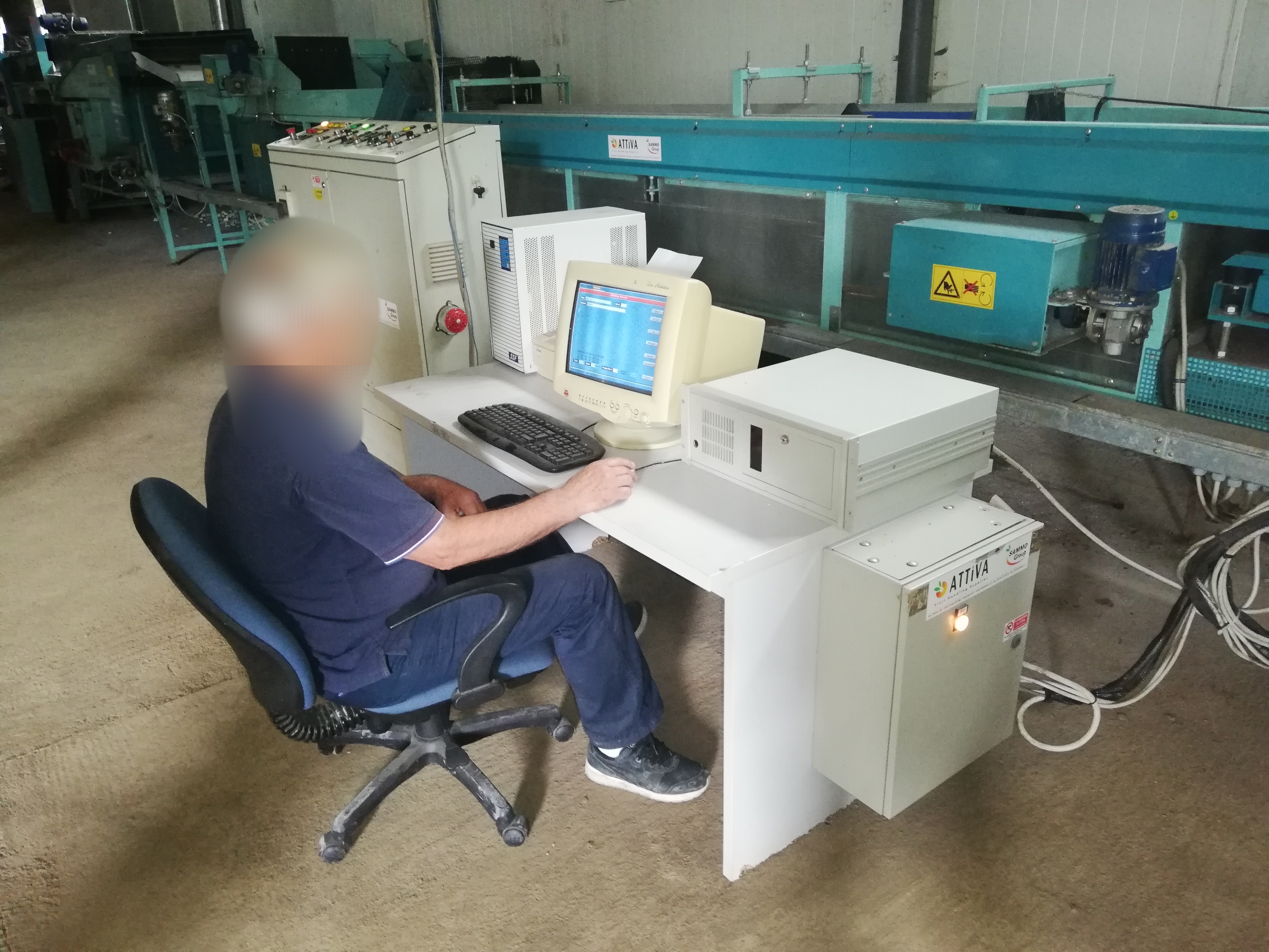 Calibrator for washing and calibrating fruits in vendita - foto 7