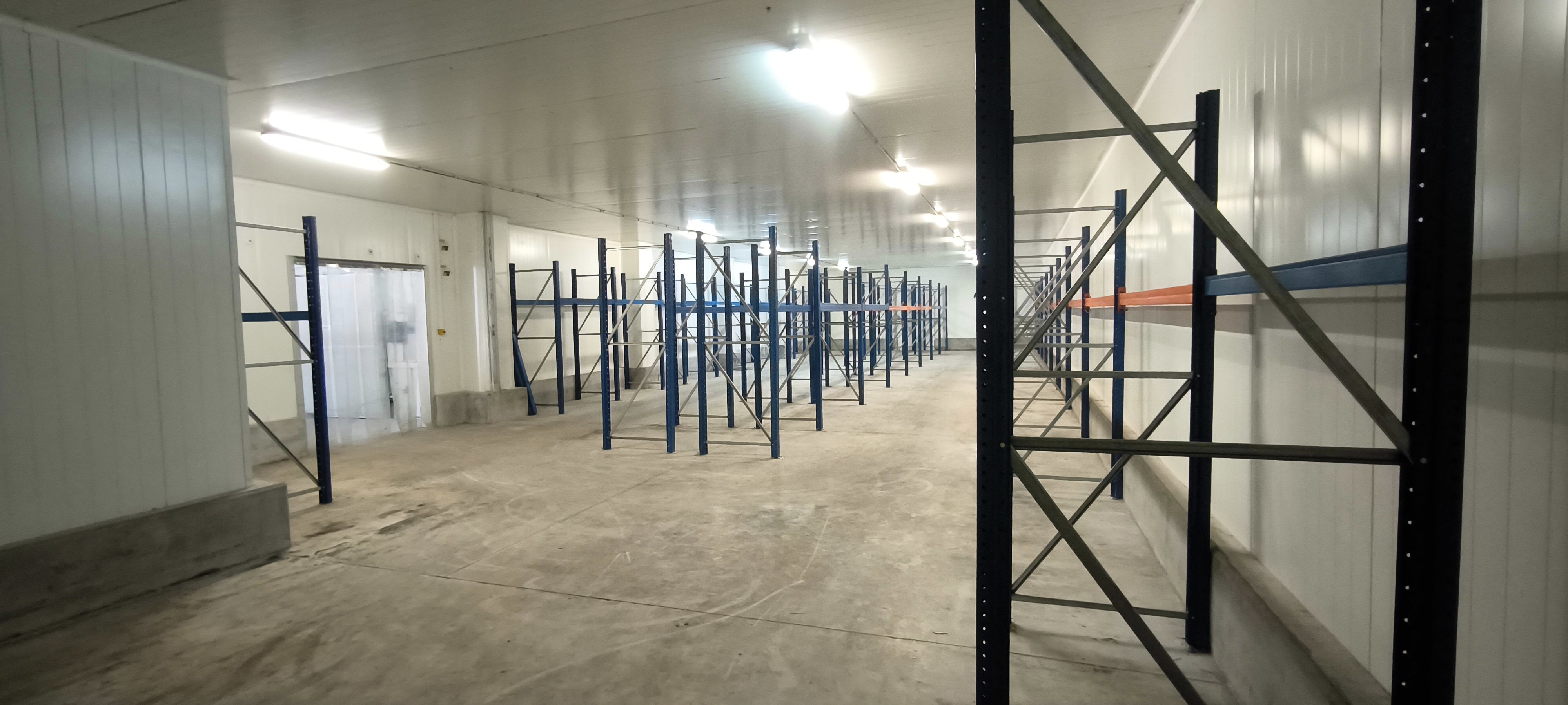 Pallet rental place storage cold room in vendita - foto 5