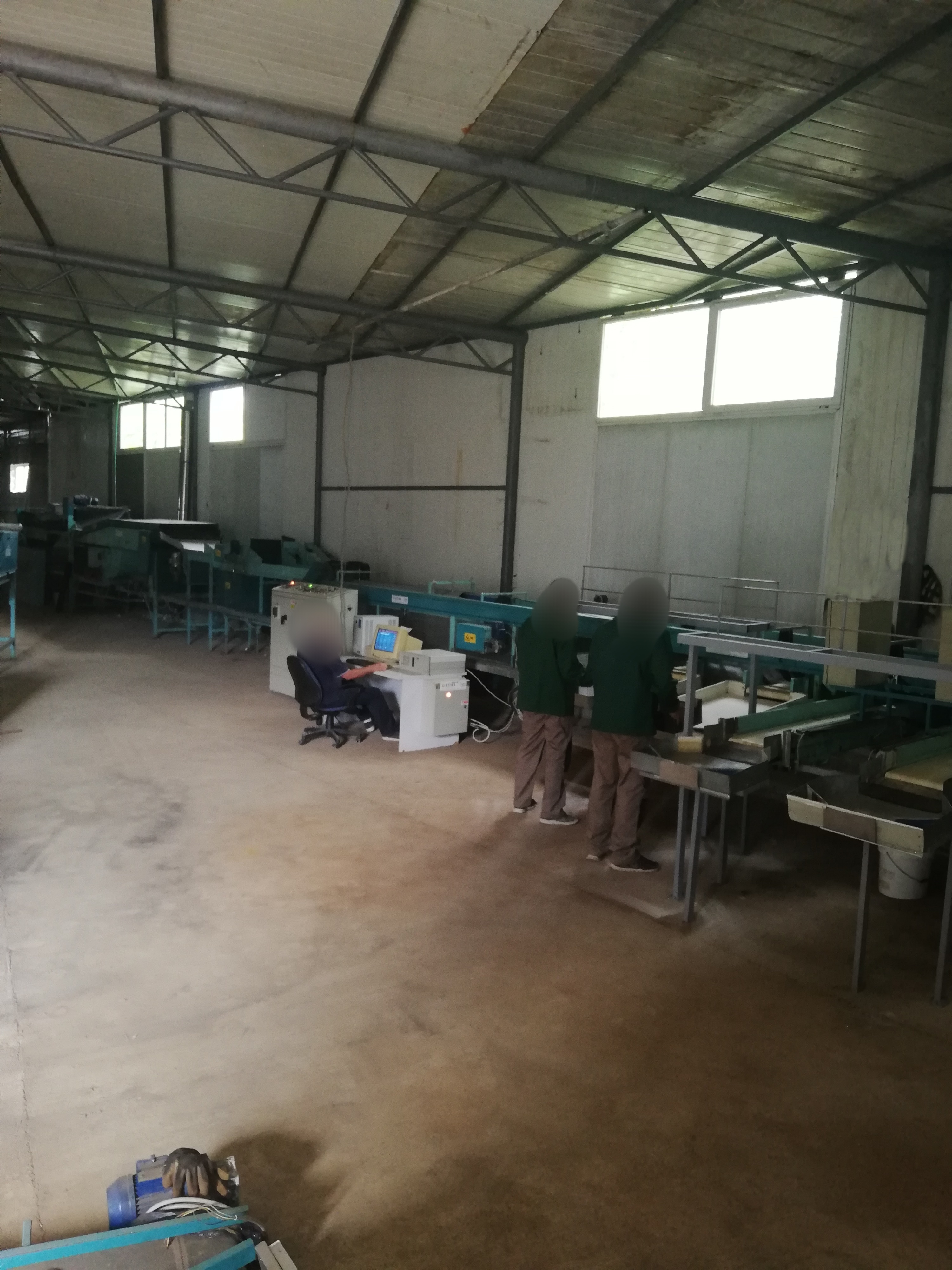 Calibrator for washing and calibrating fruits in vendita - foto 3