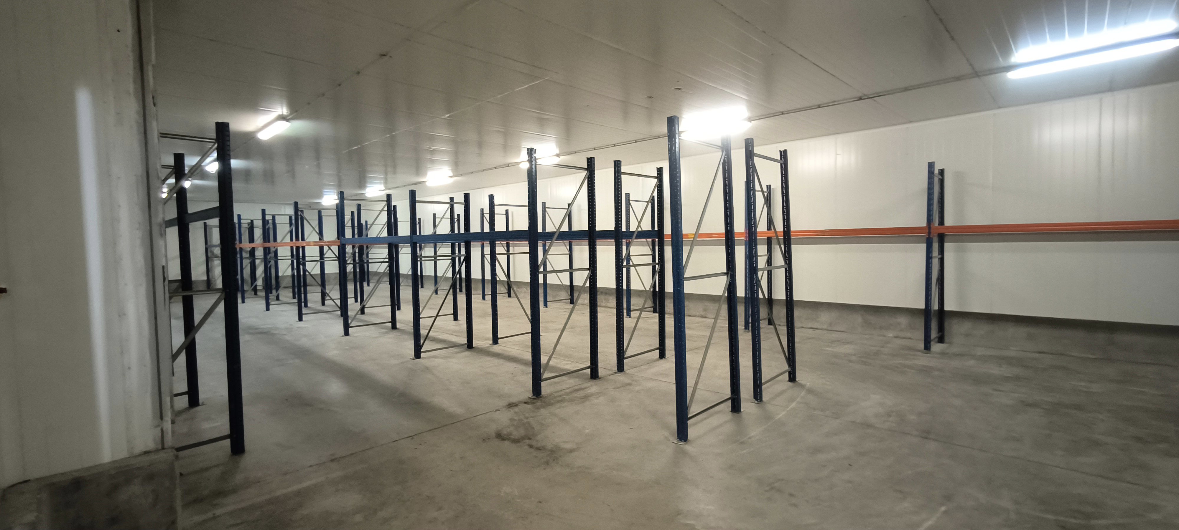 Pallet rental place storage cold room in vendita - foto 7