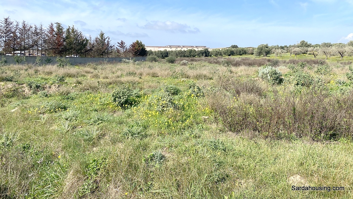Terreno agricolo a Dolianova in vendita - foto 5