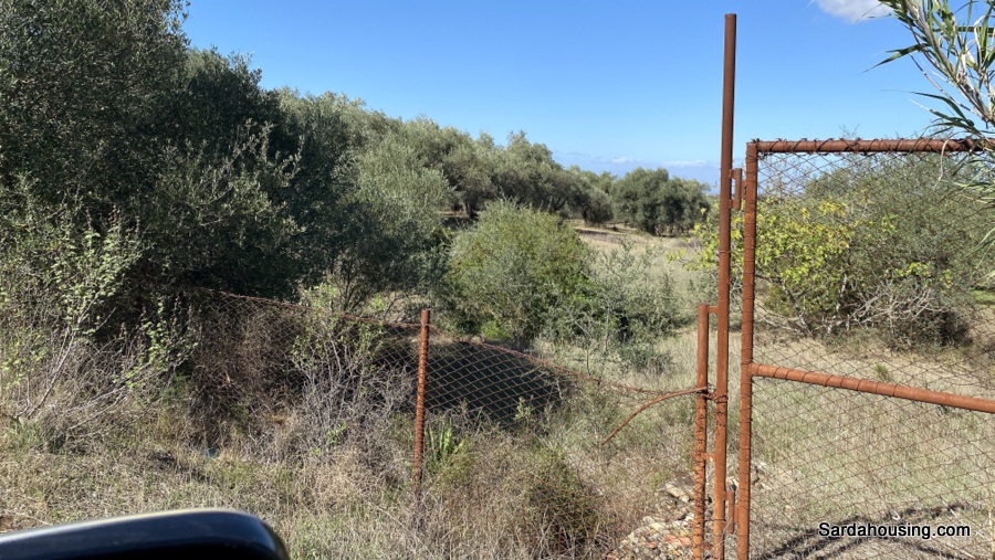 Terreno con olivi e pozzo a Dolianova, Sardegna in vendita - foto 15