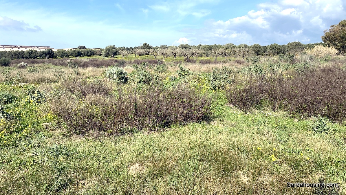 Terreno agricolo a Dolianova in vendita - foto 1