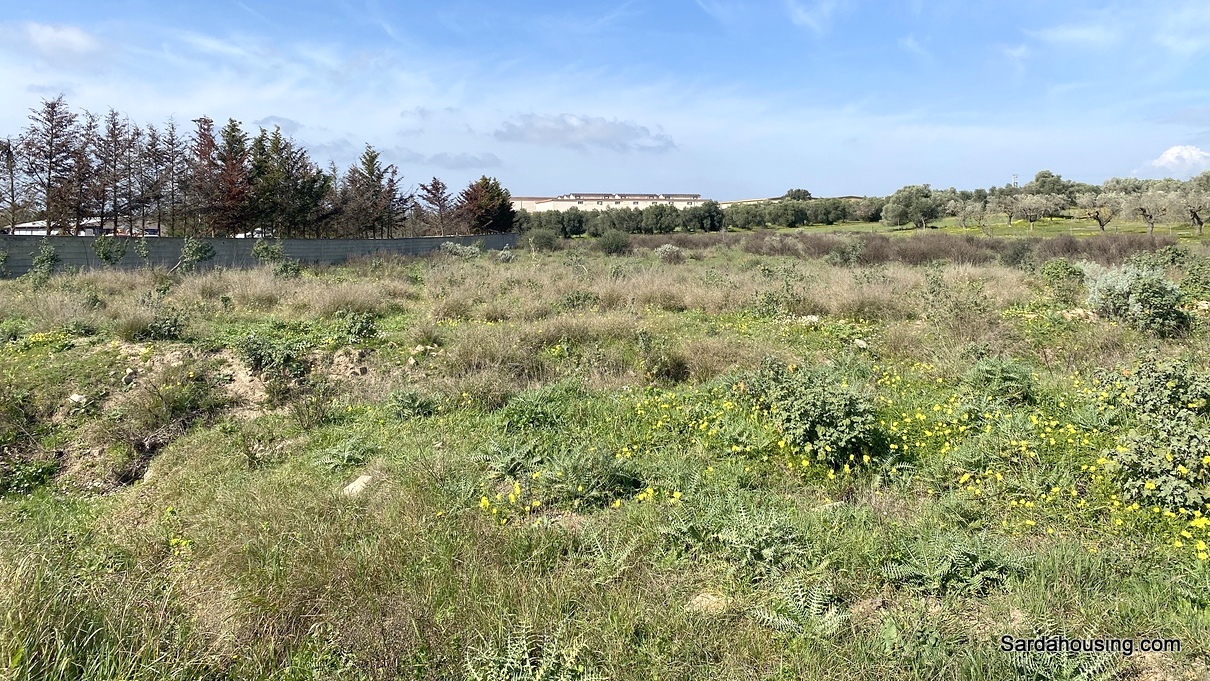 Terreno agricolo a Dolianova in vendita - foto 6
